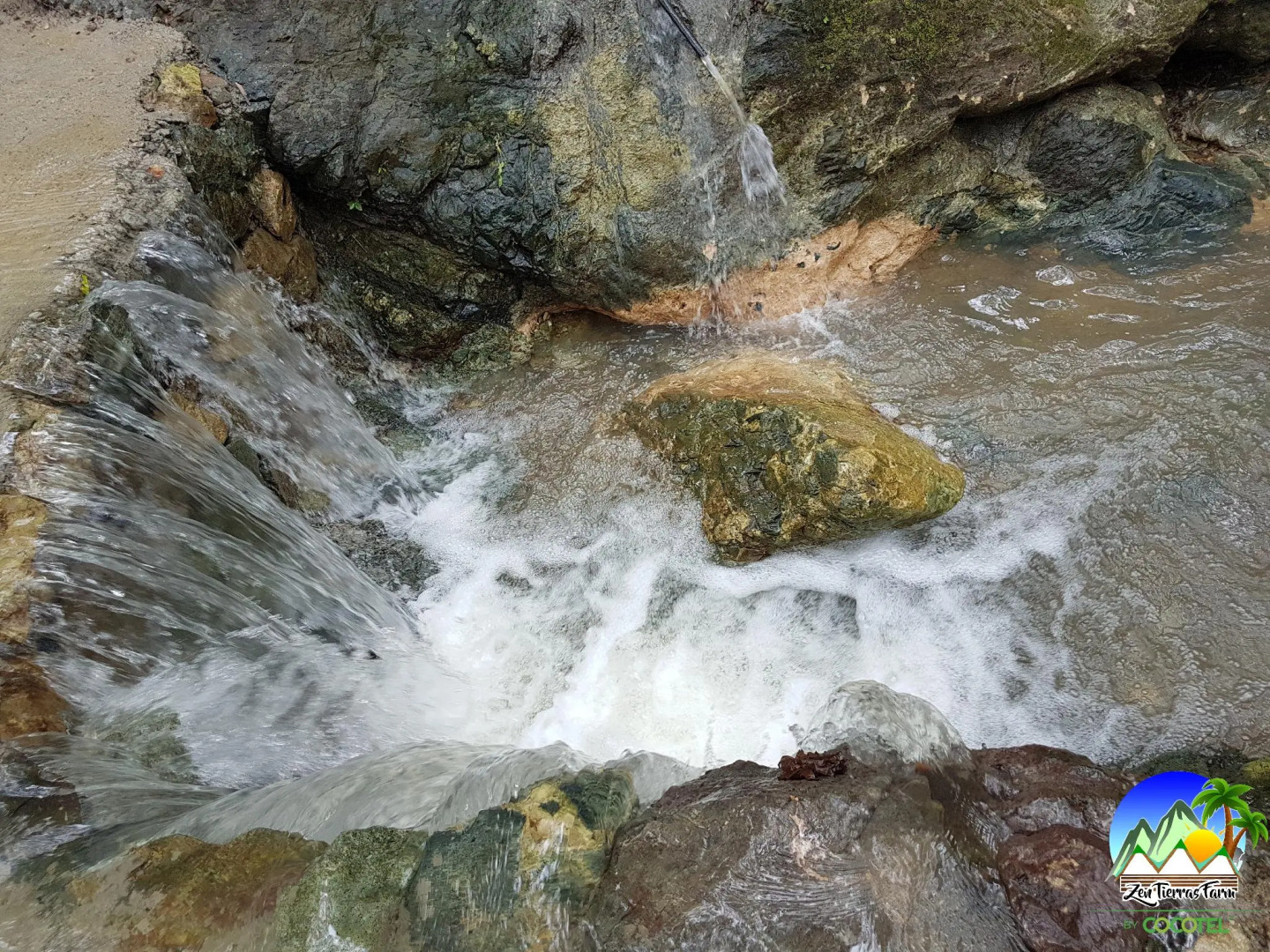 Zen Tierras Farm powered by Cocotel