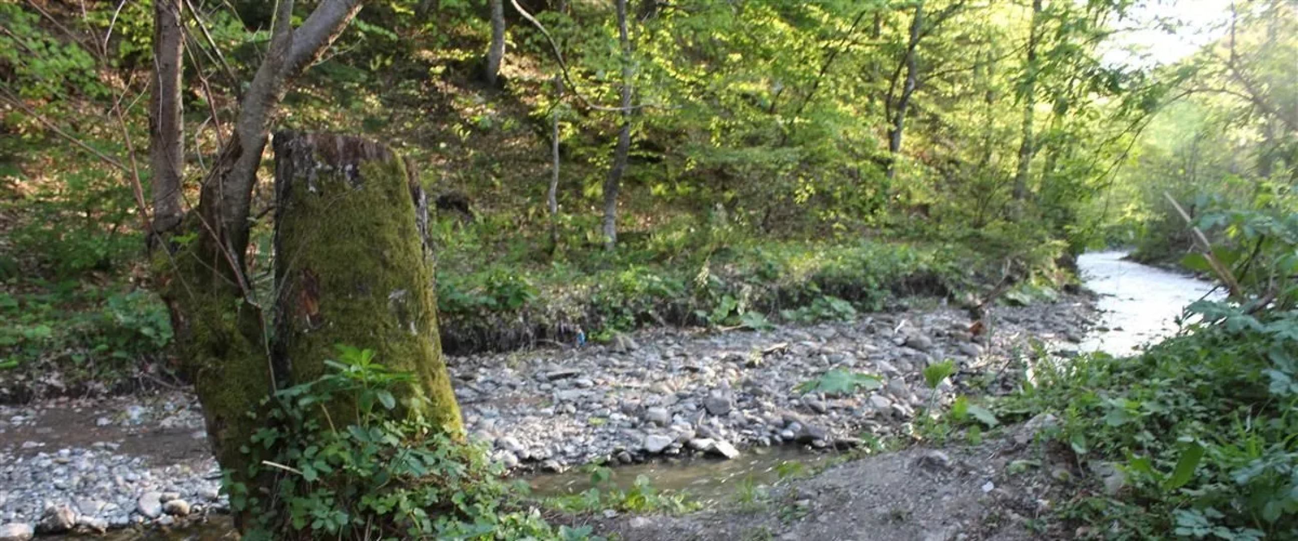 Abant Baris Pansiyon