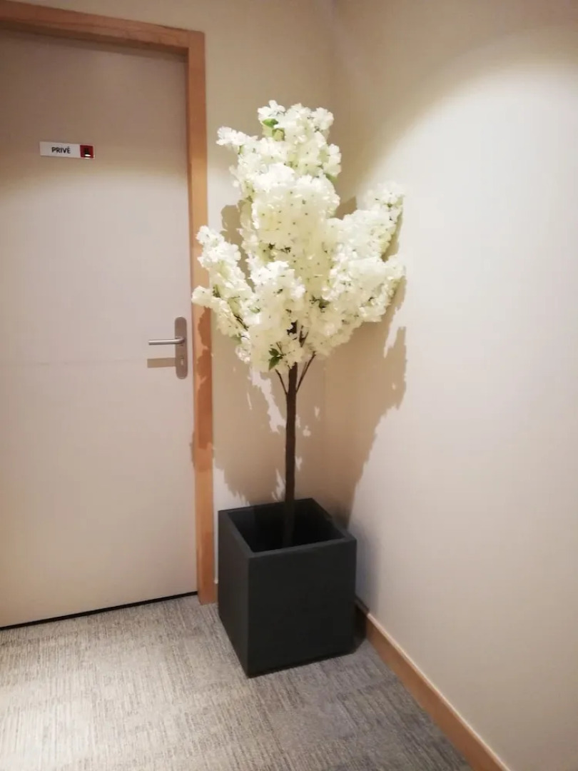 Hotel du Rhone Seyssel