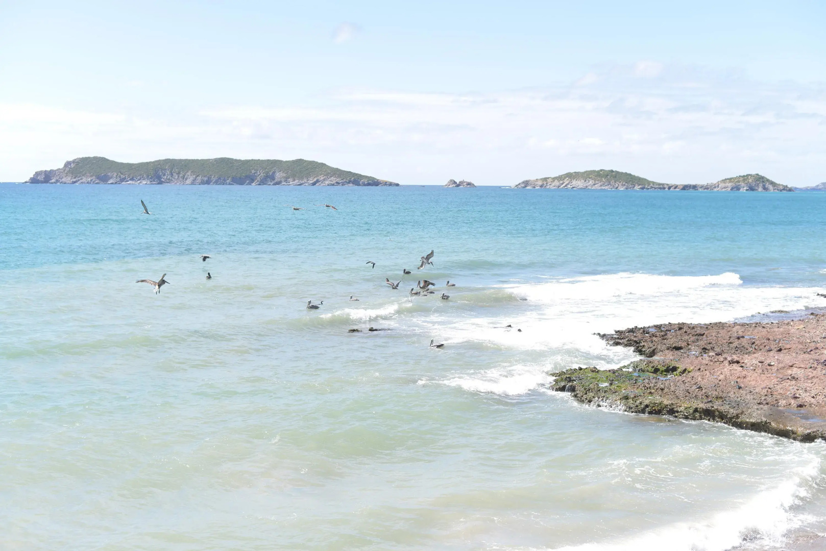 Sea of Cortez Beach Club