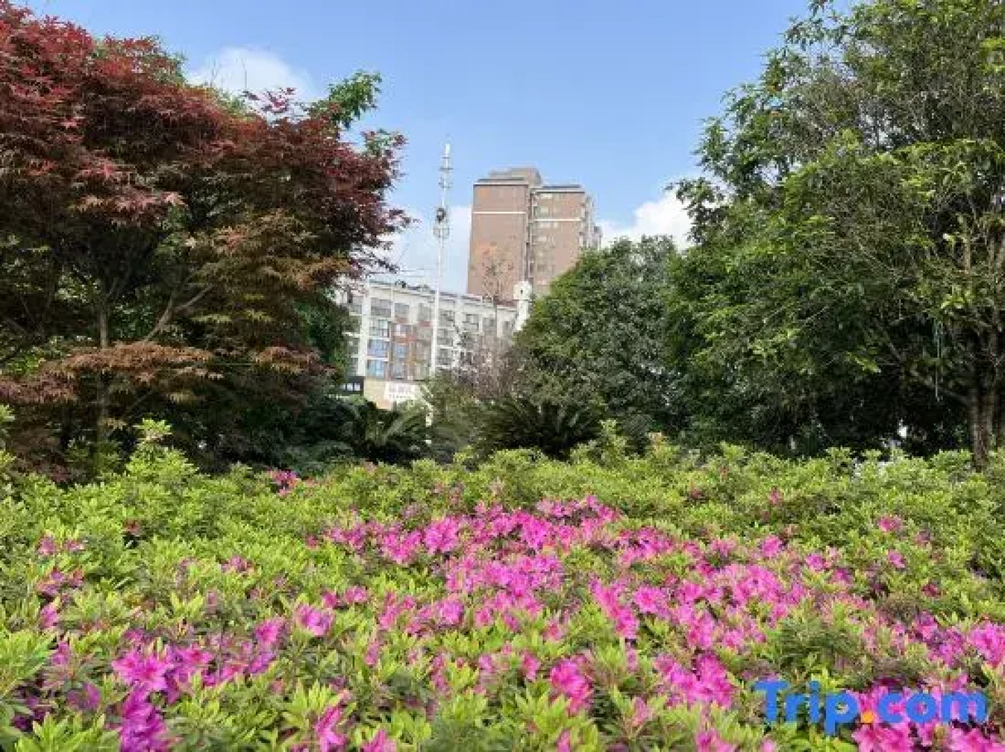 Yipin International Hotel (County Government Affairs Center)