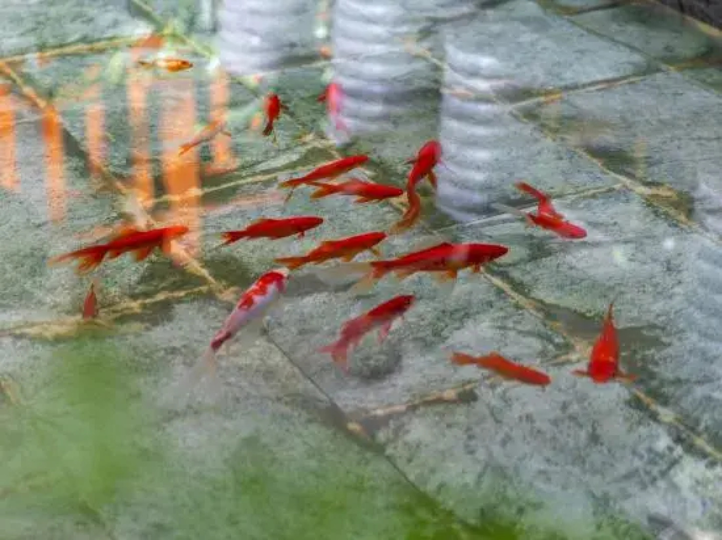 Zi Yue Boutique Hotel