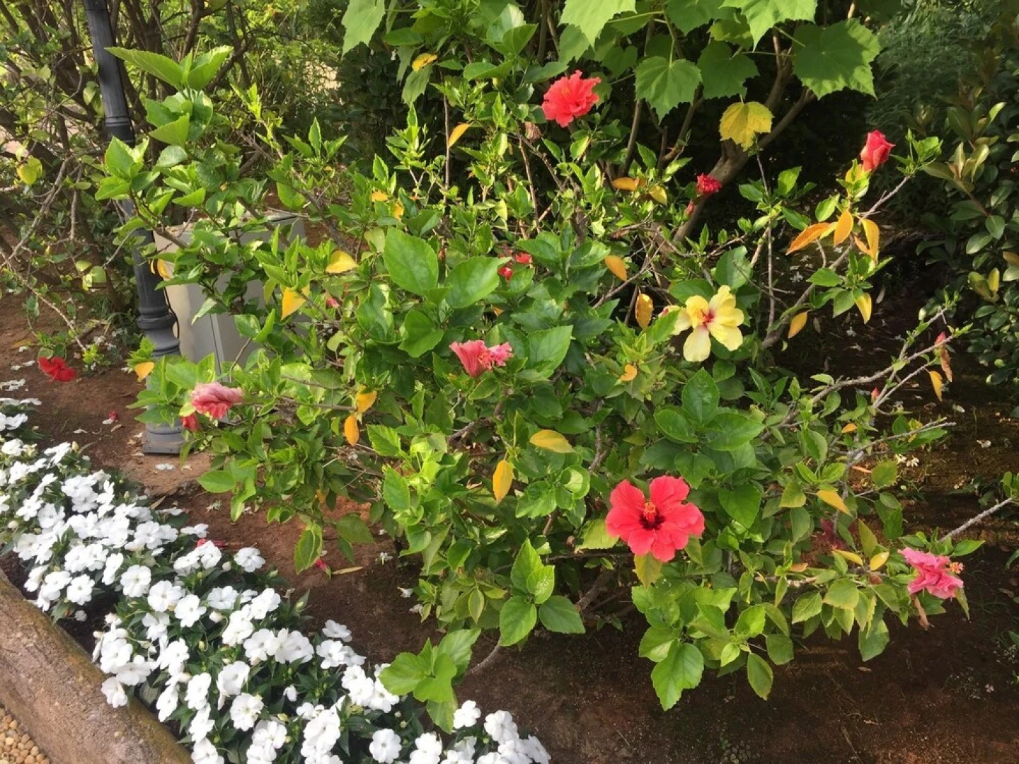 Villa With 5 Bedrooms in Grasse, With Wonderful Mountain View, Private