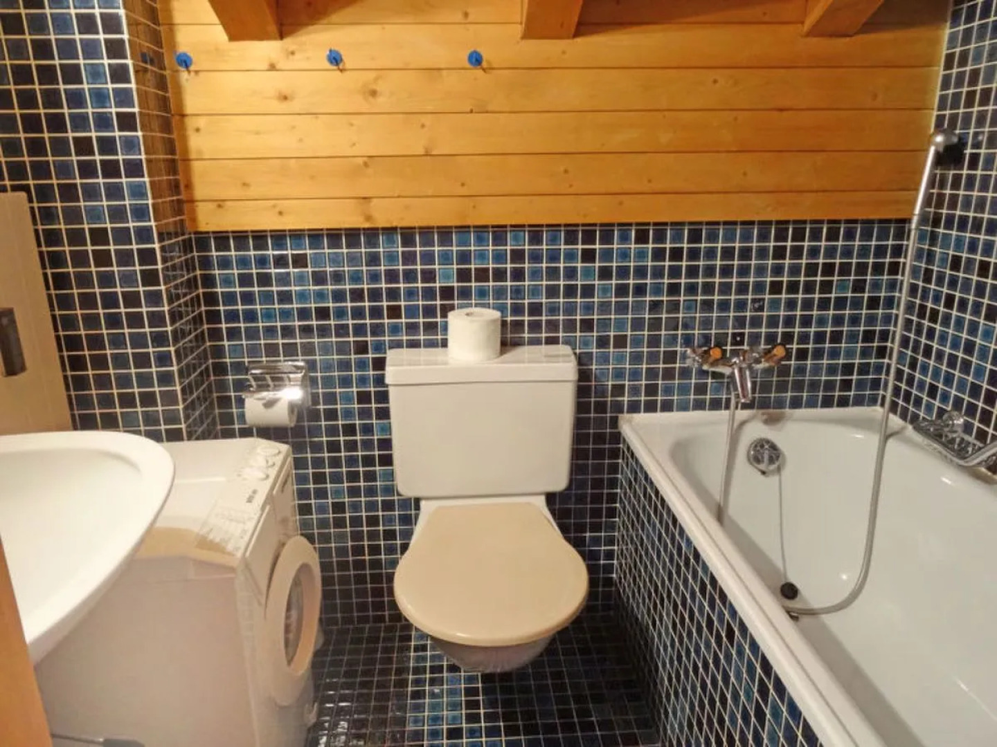 Villa Aragon Ernen 10684