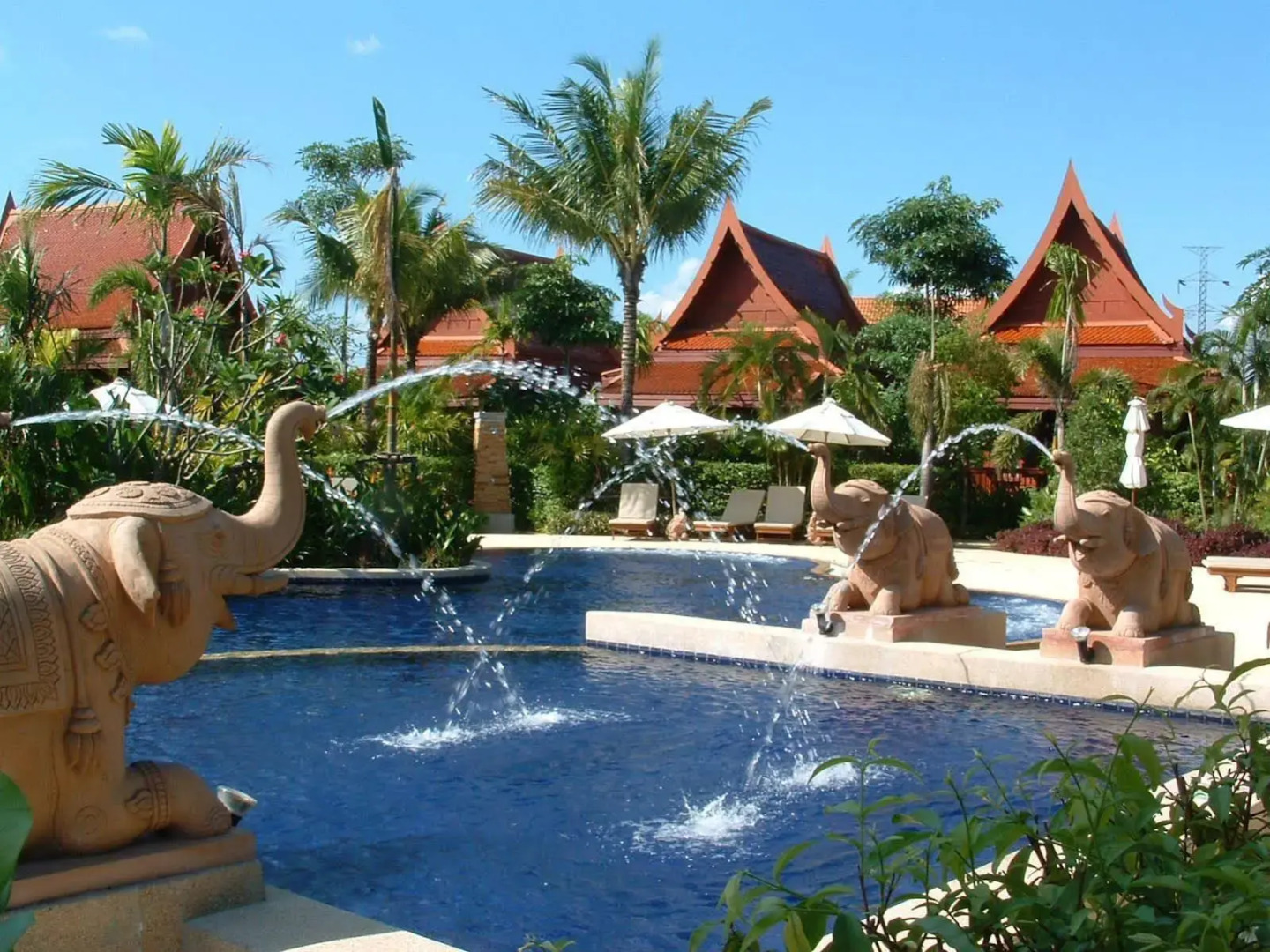 Ma Doo Bua Phuket (มาดูบัวภูเก็ต)