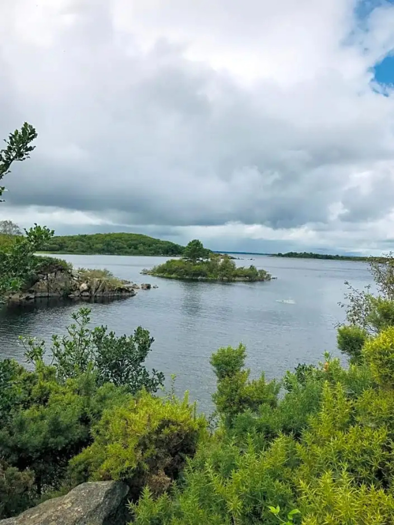 Hillcrest farmhouse Bed & Breakfast