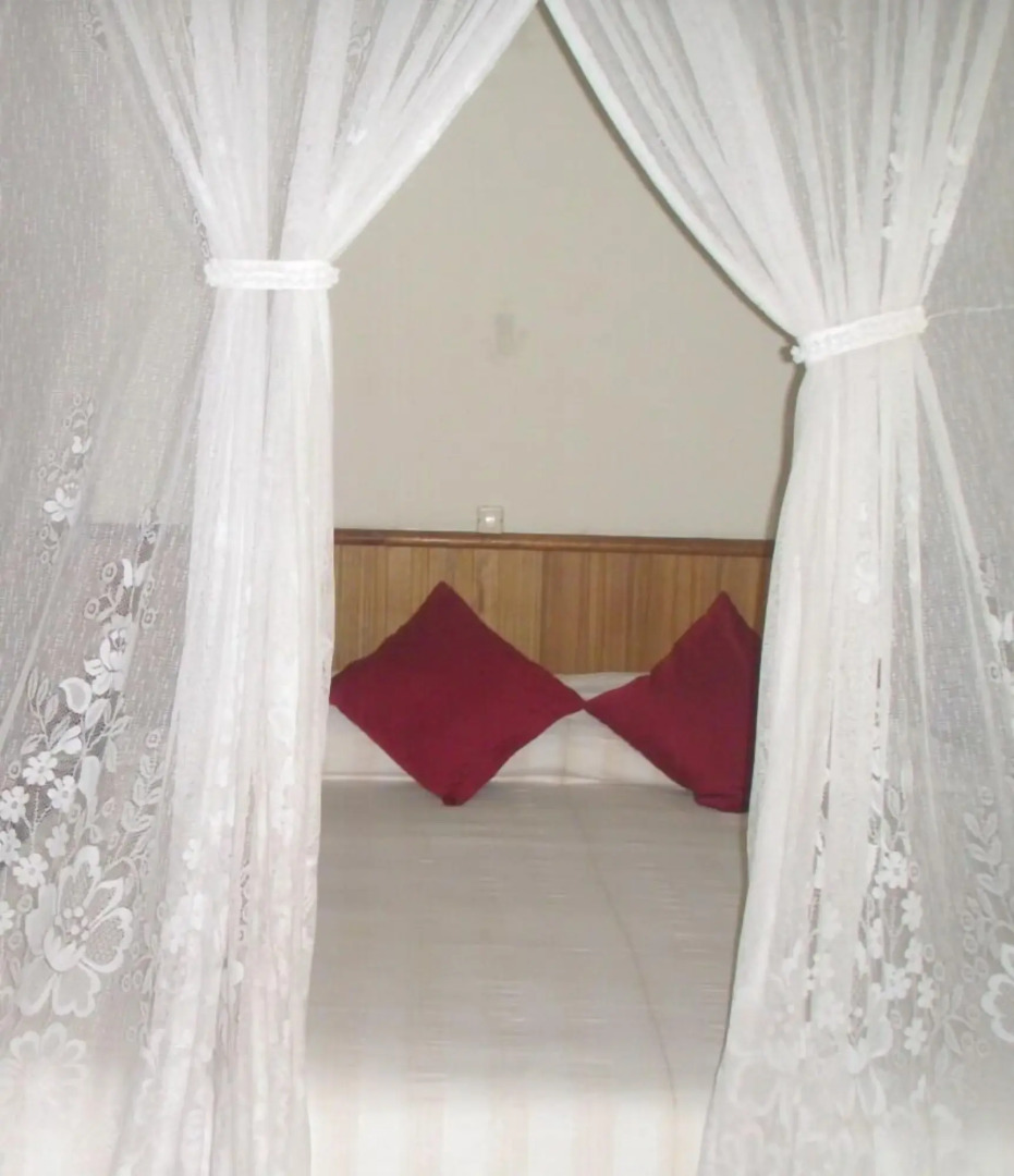 Rimba Orangutan Eco Lodge