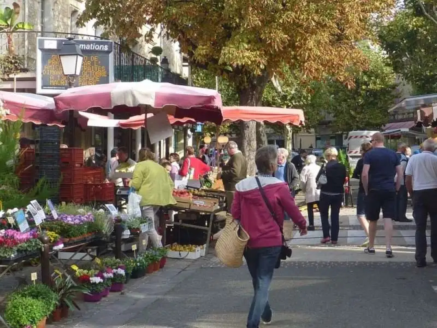 Terres de France Prayssac