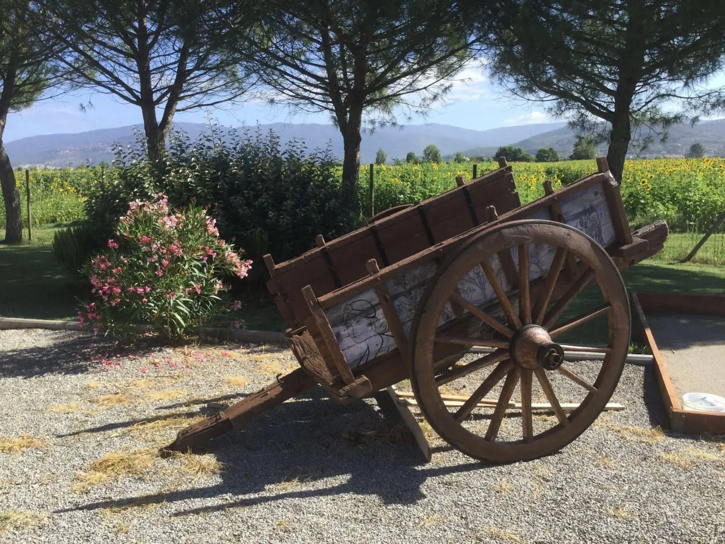 Agriturismo Terra di Cortona
