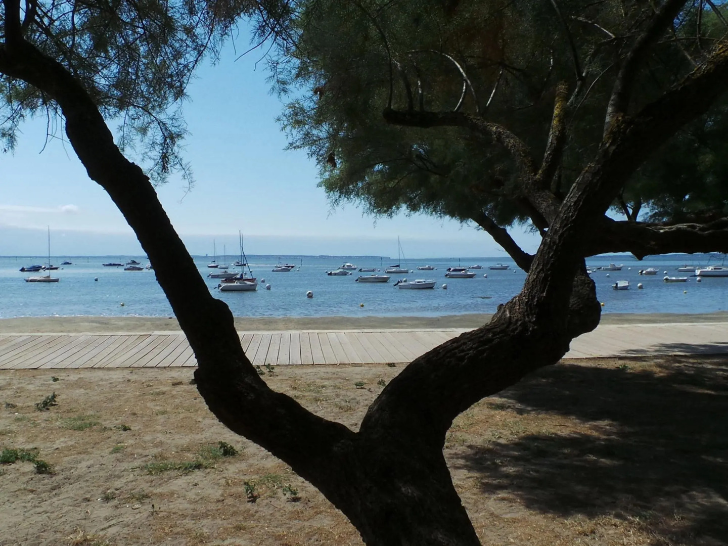 Renovated Dovecot With Pool, in the Vineyards Near Bordeaux