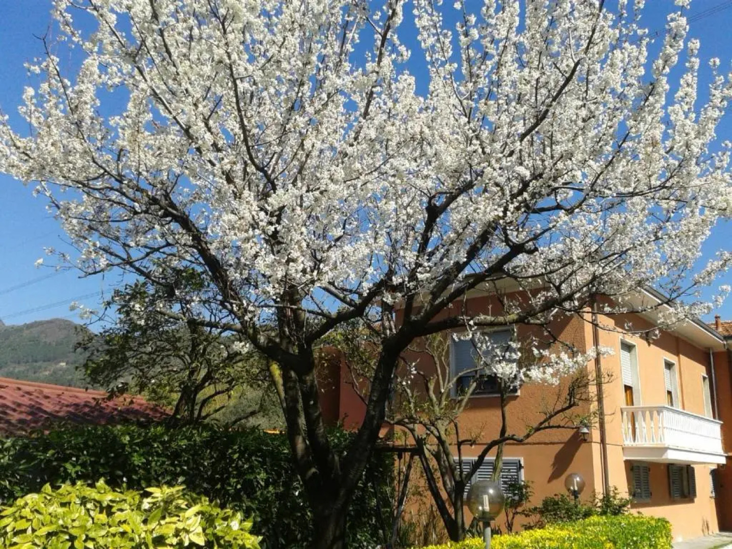 Il Giardino di Patrizia