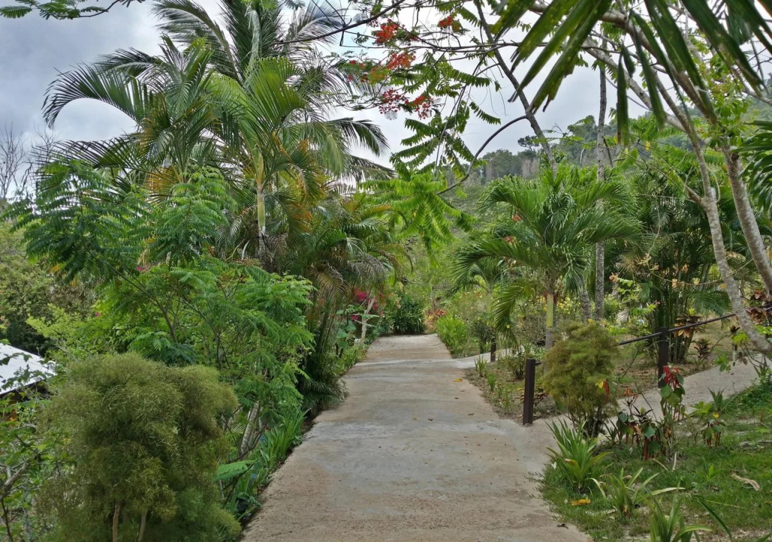 Casa Rosa Inn and Restaurant