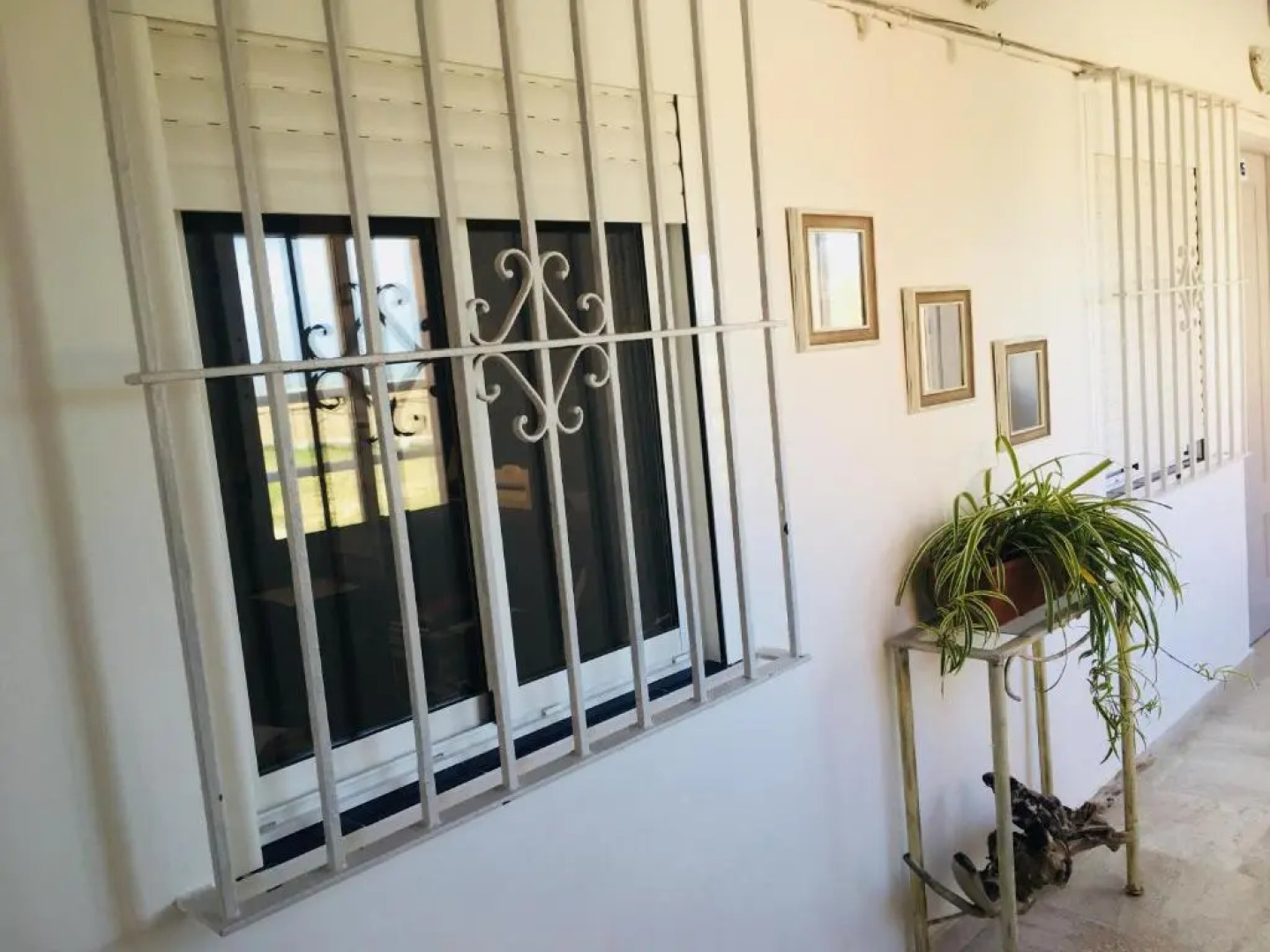 Apartamentos Calypso