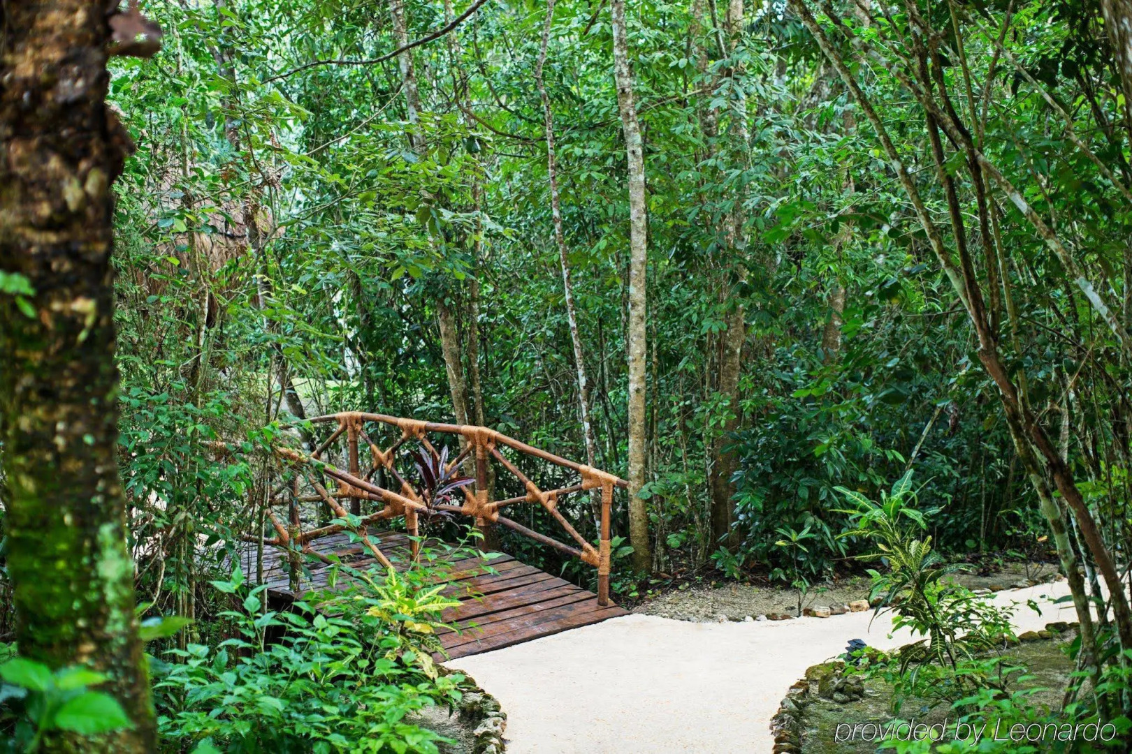 The Explorean Selva Maya Kohunlich