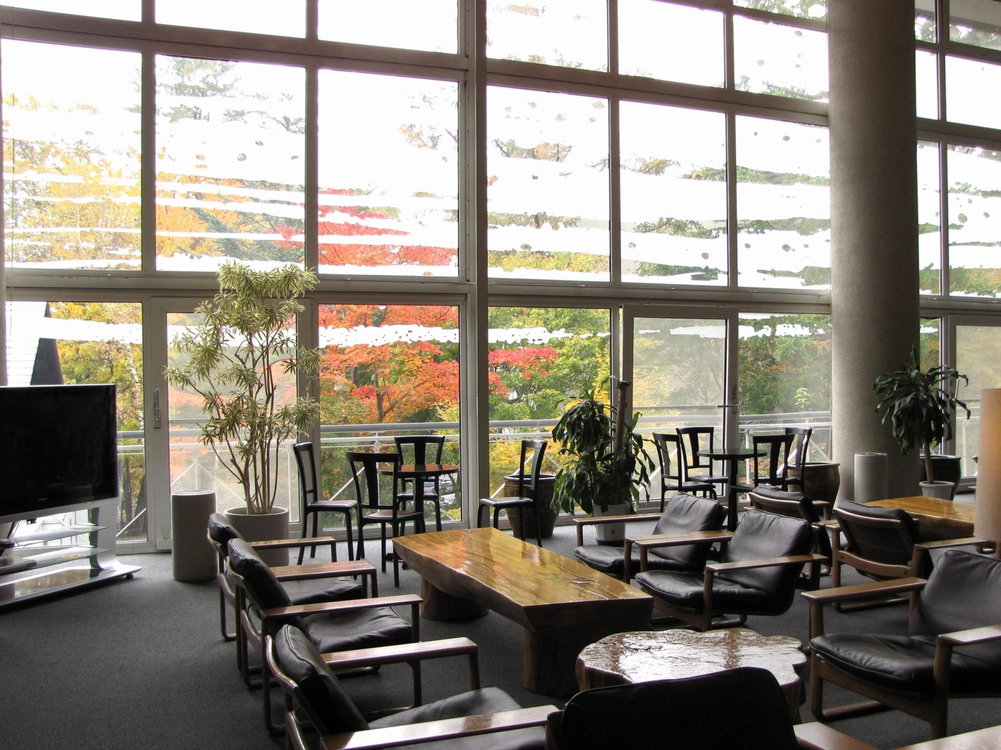 Kusatsu Green Park Palace