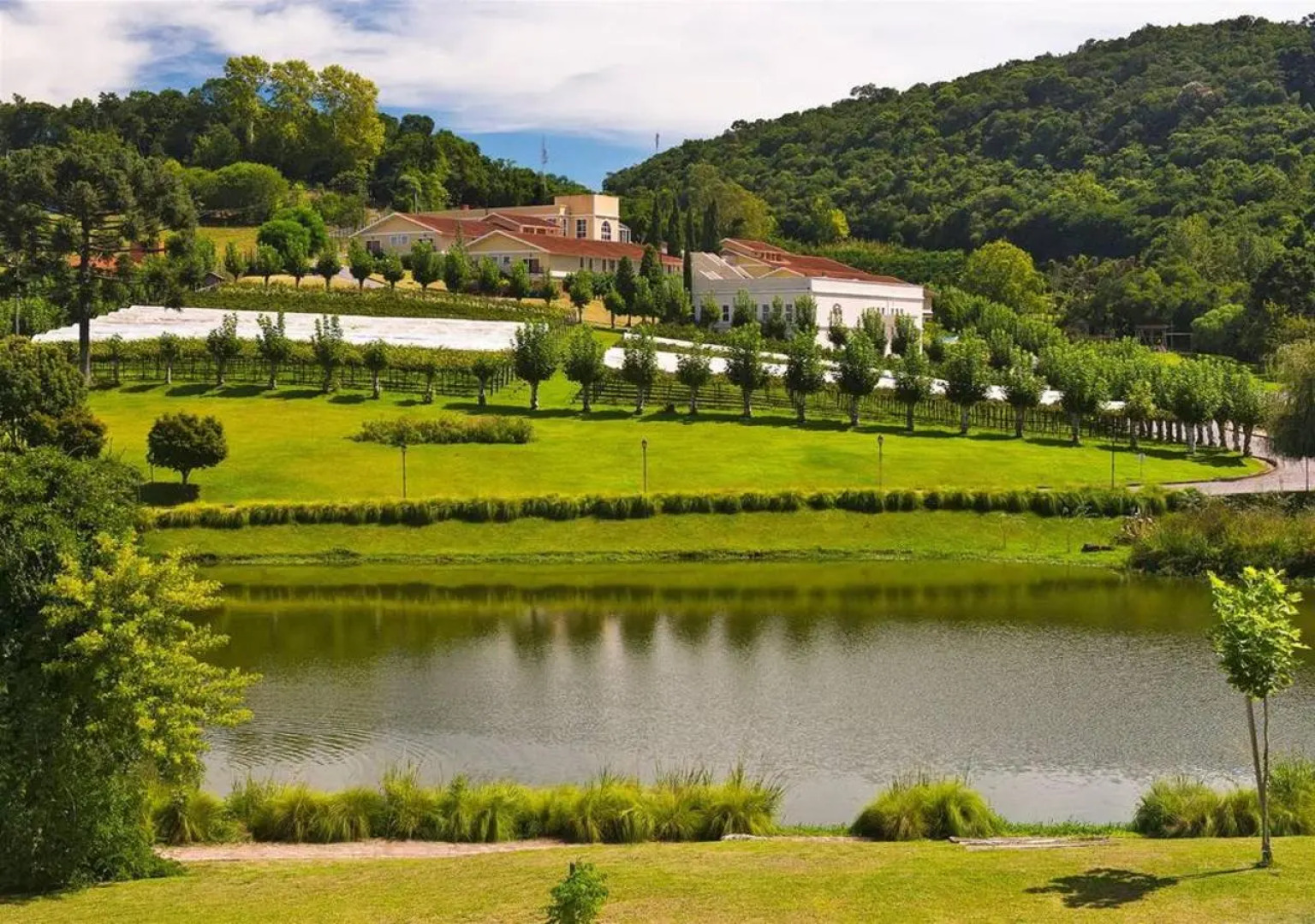 Hotel Villa Michelon