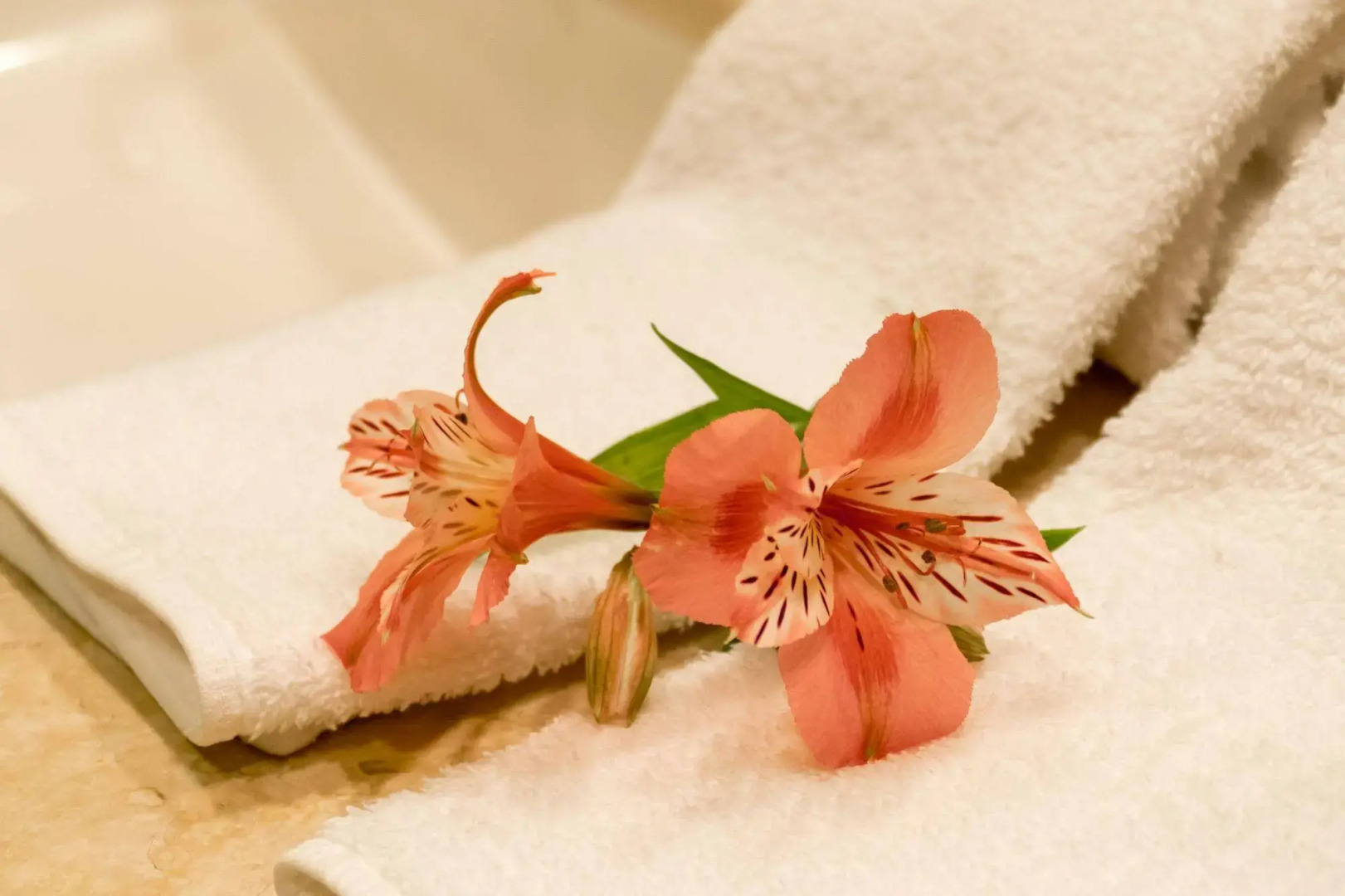 Mirador del Lago Hotel