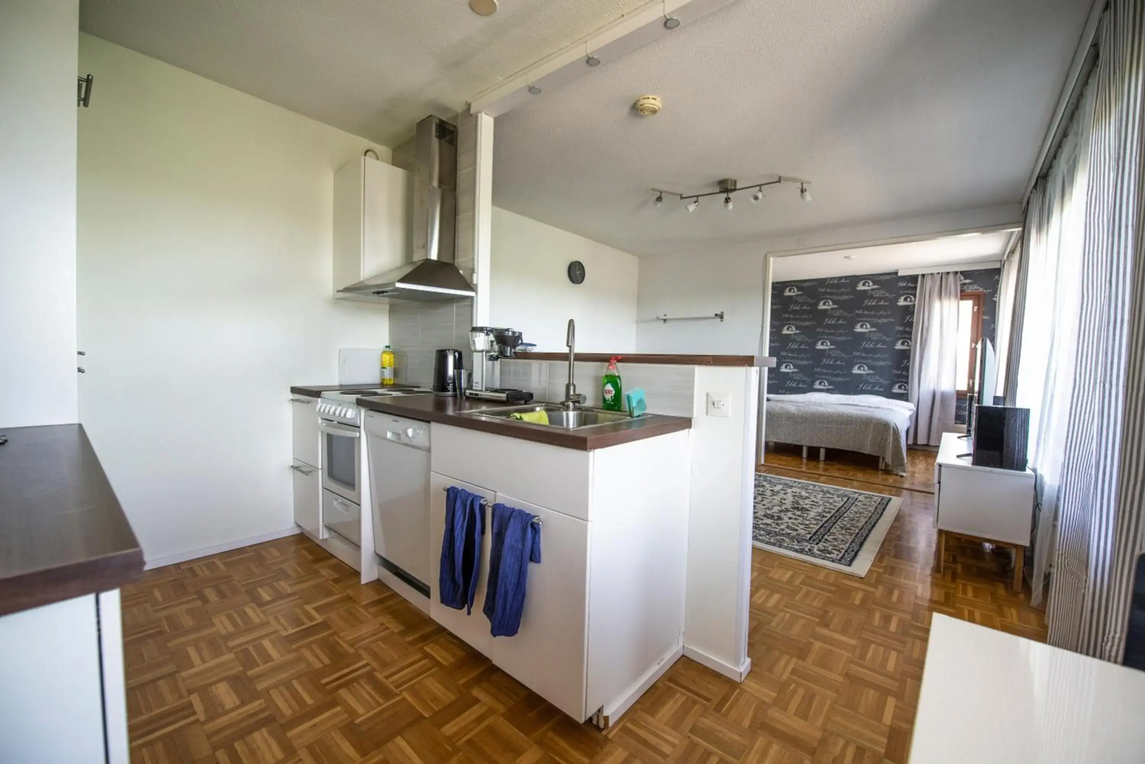 Mikkeli Citycenter apartment with sauna