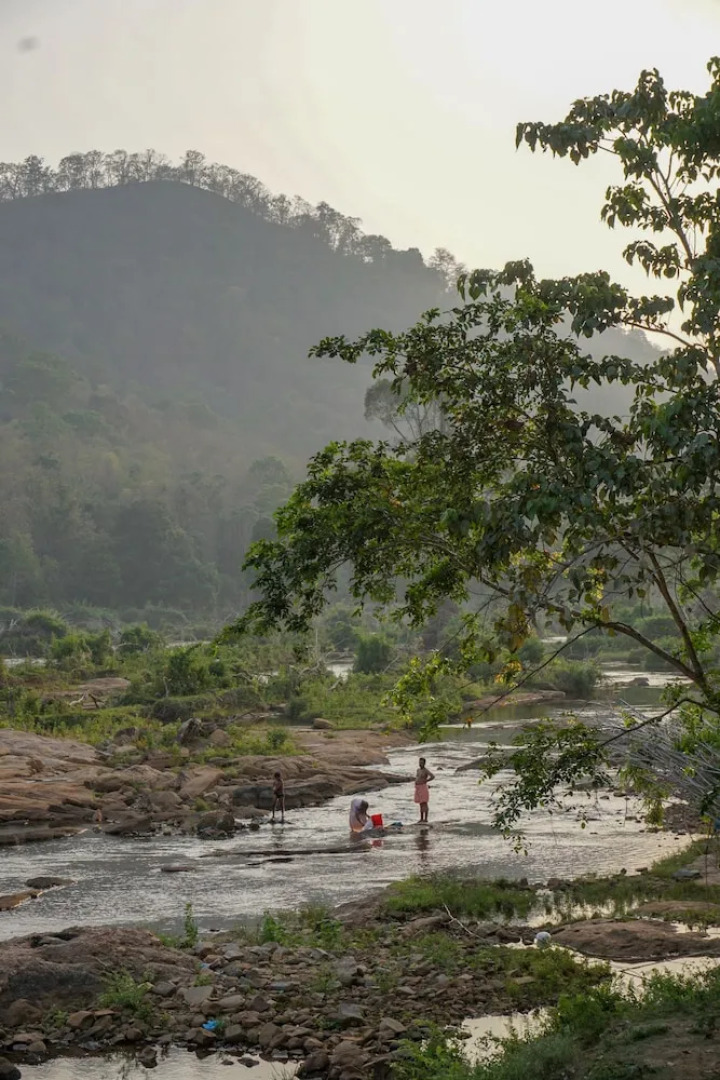 Willow Heights Athirappally