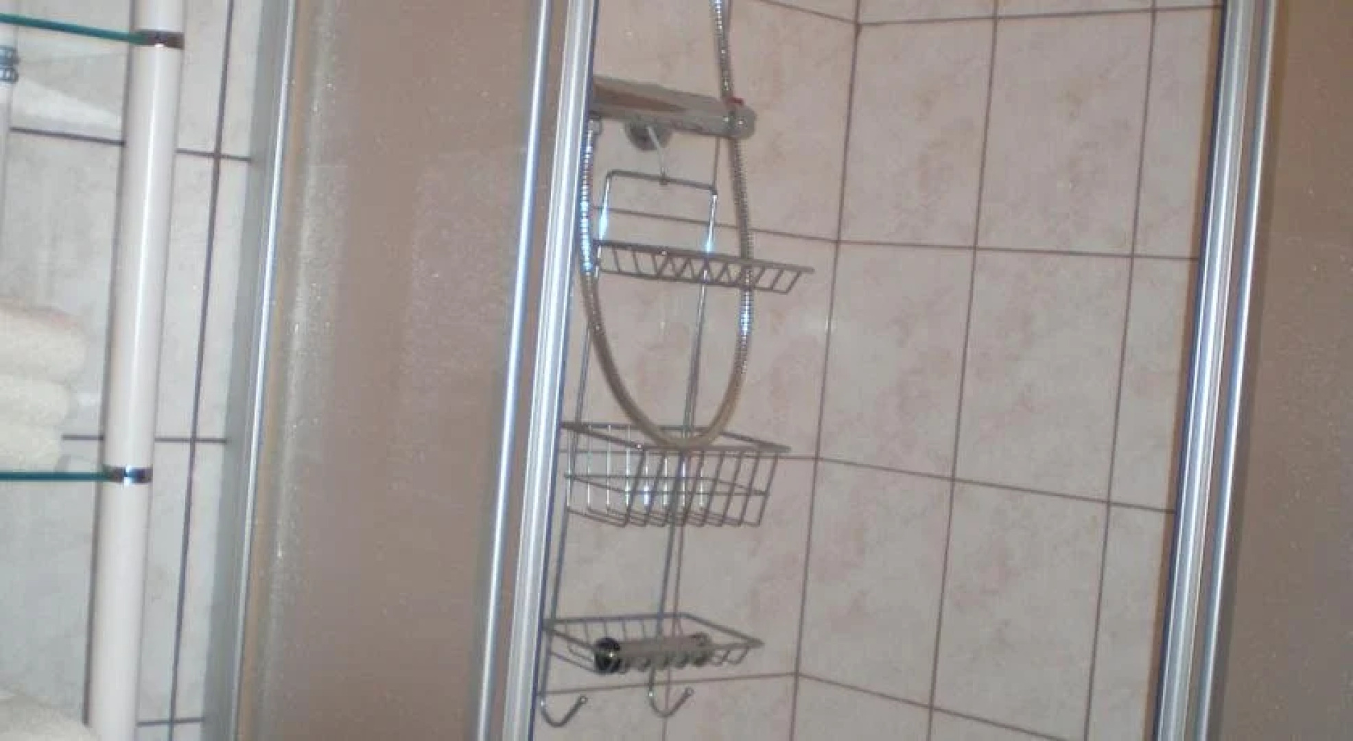 Wiesenbauer - Schlögl Anton