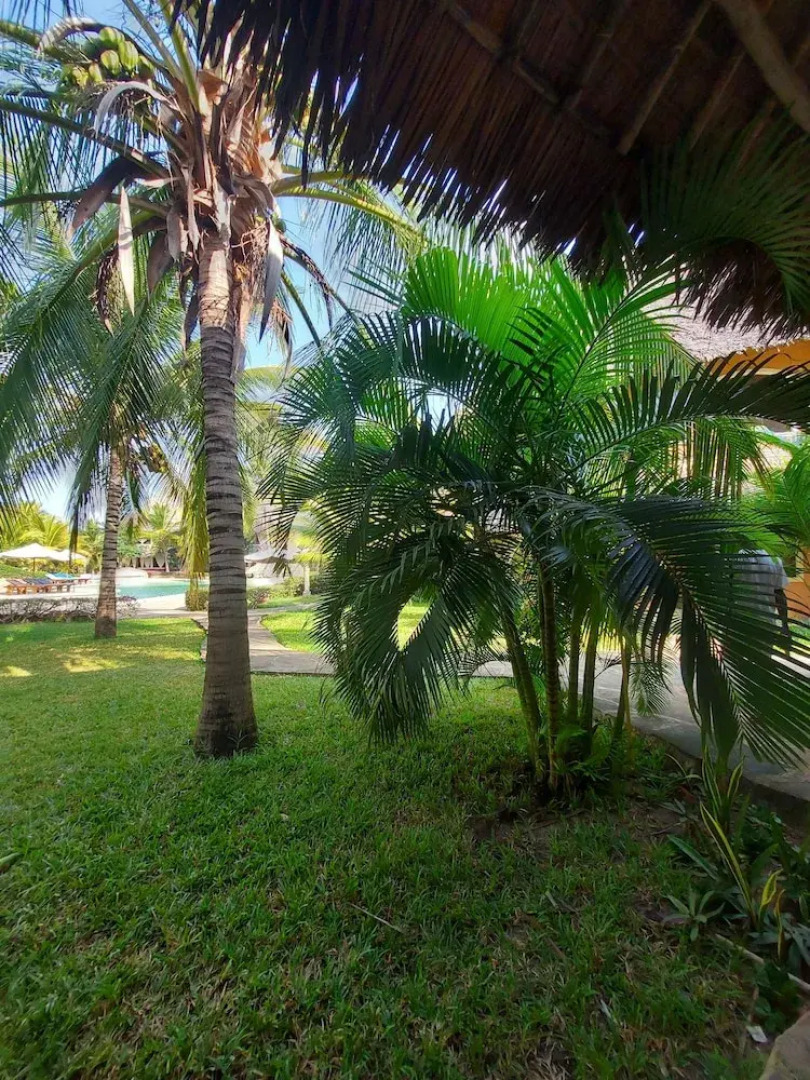 Tembo Court Apartment