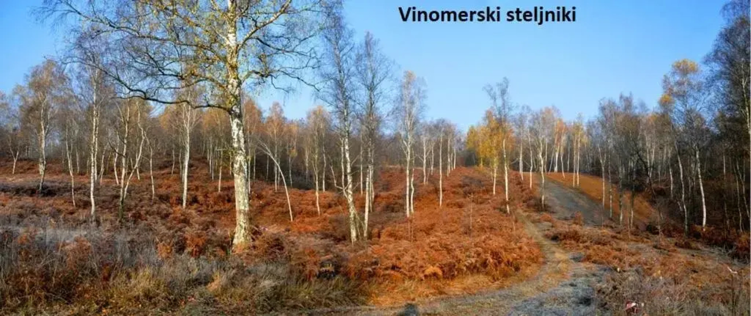 Vikend apartma Ma&Ja