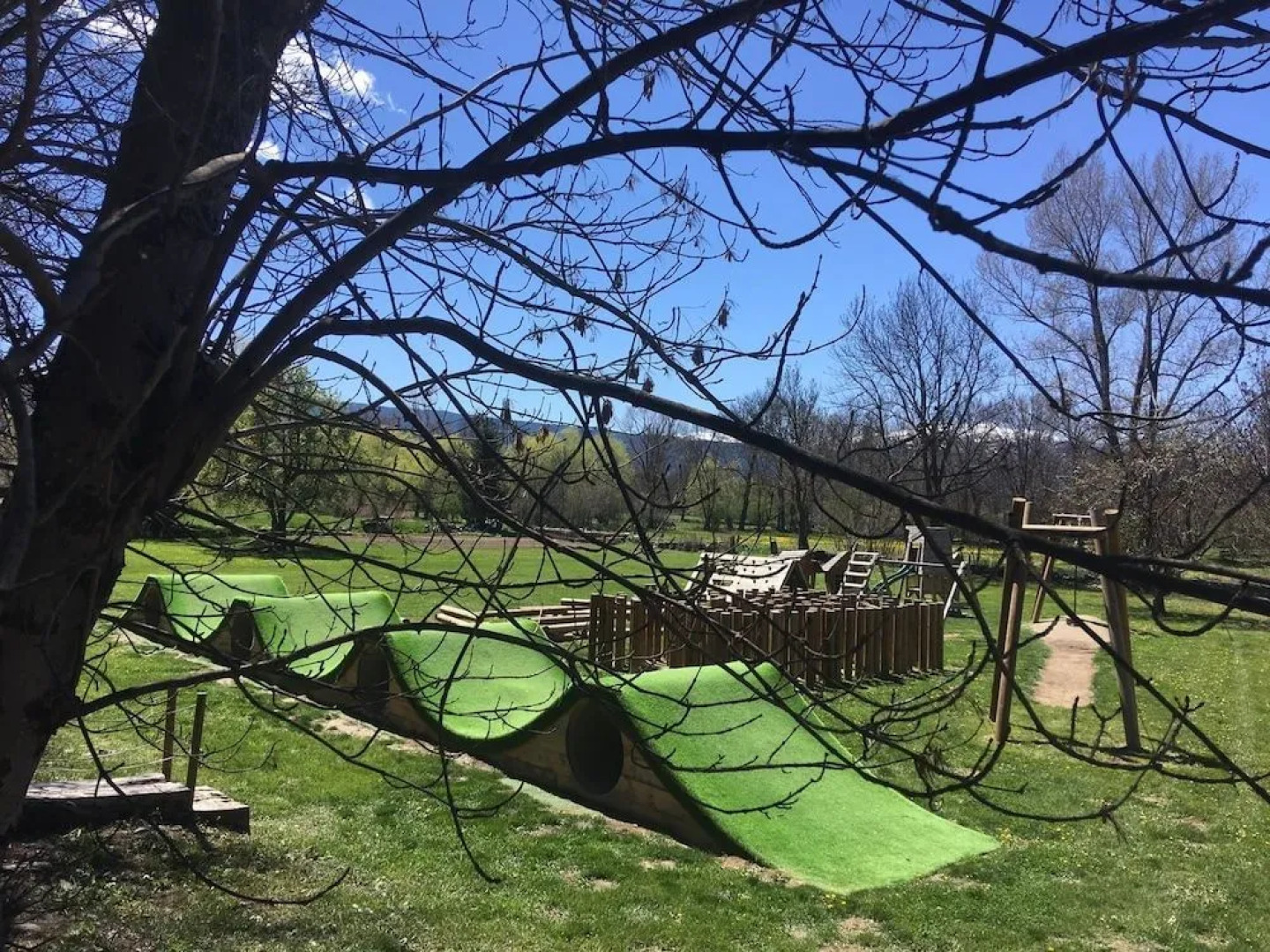 Beauty Llívia by Singular's