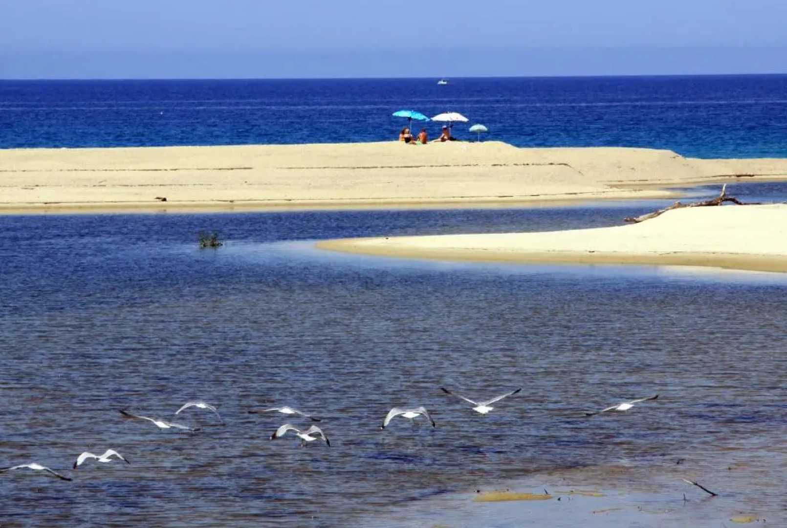 Résidence L'Alivetu