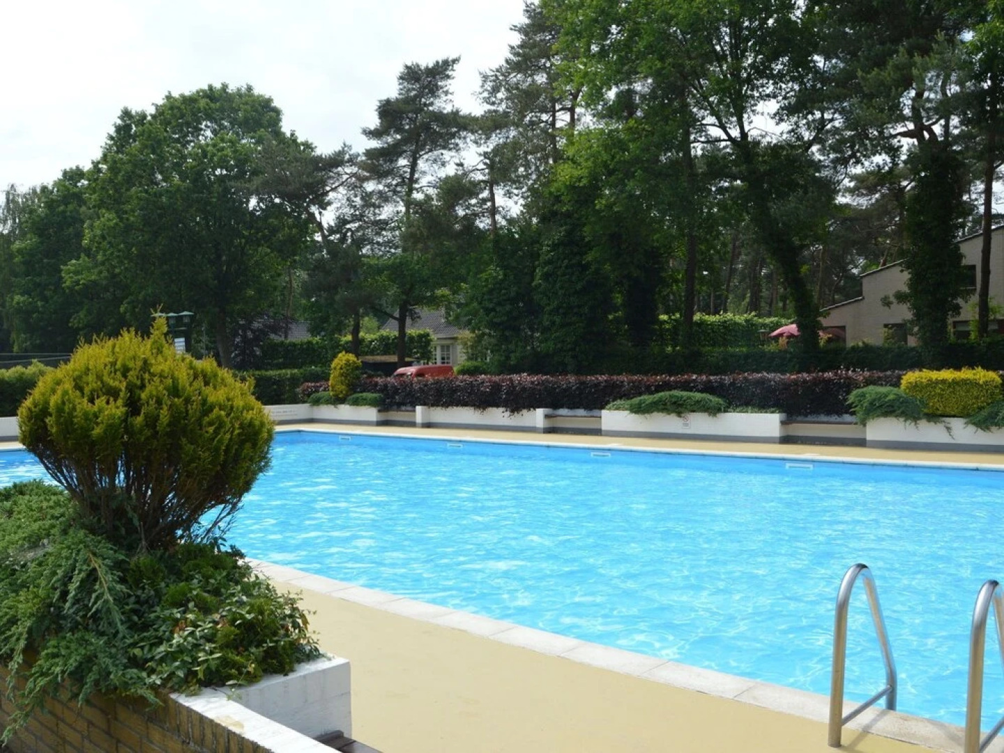 Modern Bungalow in North Brabant With a Swimming Pool