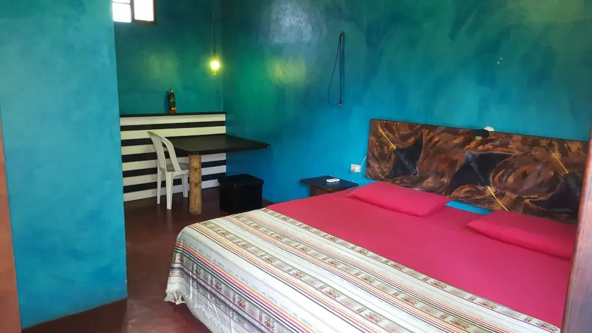 Galapagos Morning Glory