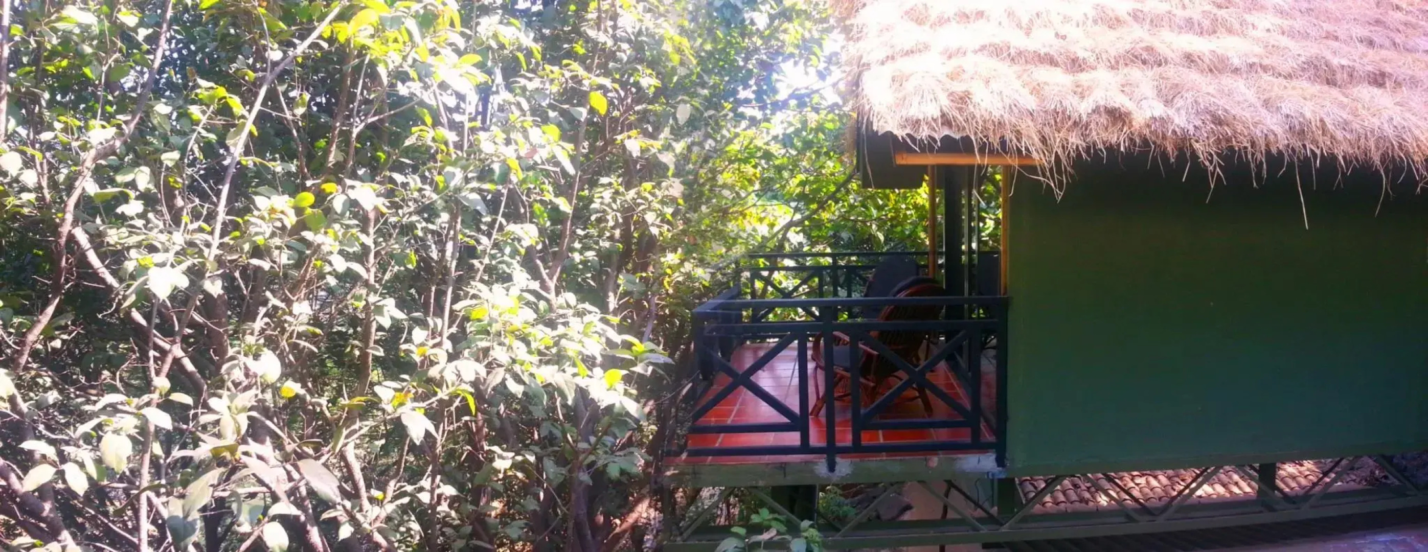 Anandvan Resort Bhandardara