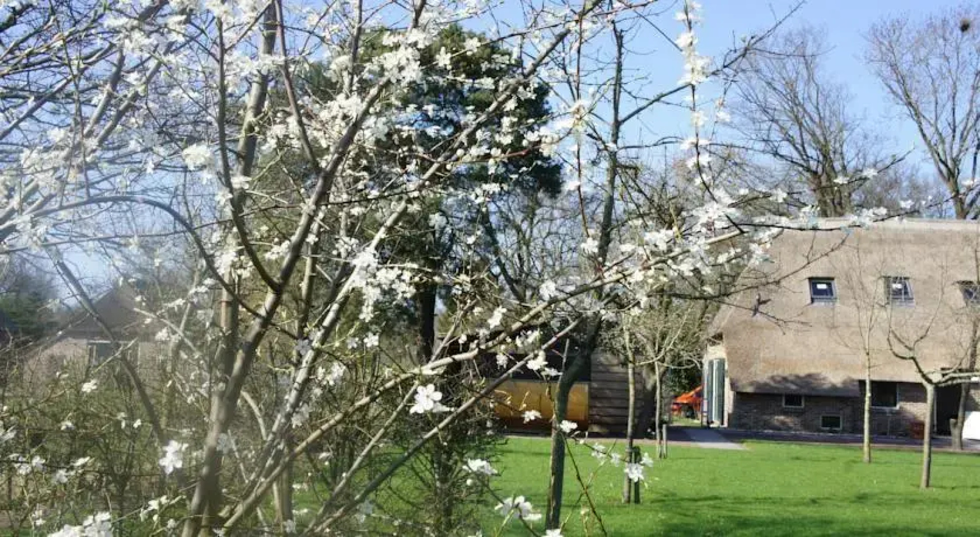 Vakantie woonboerderij in Drenthe