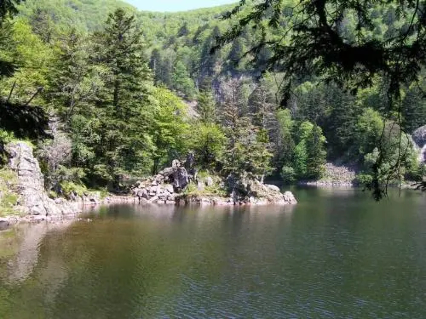 Les Rondins De La Fecht