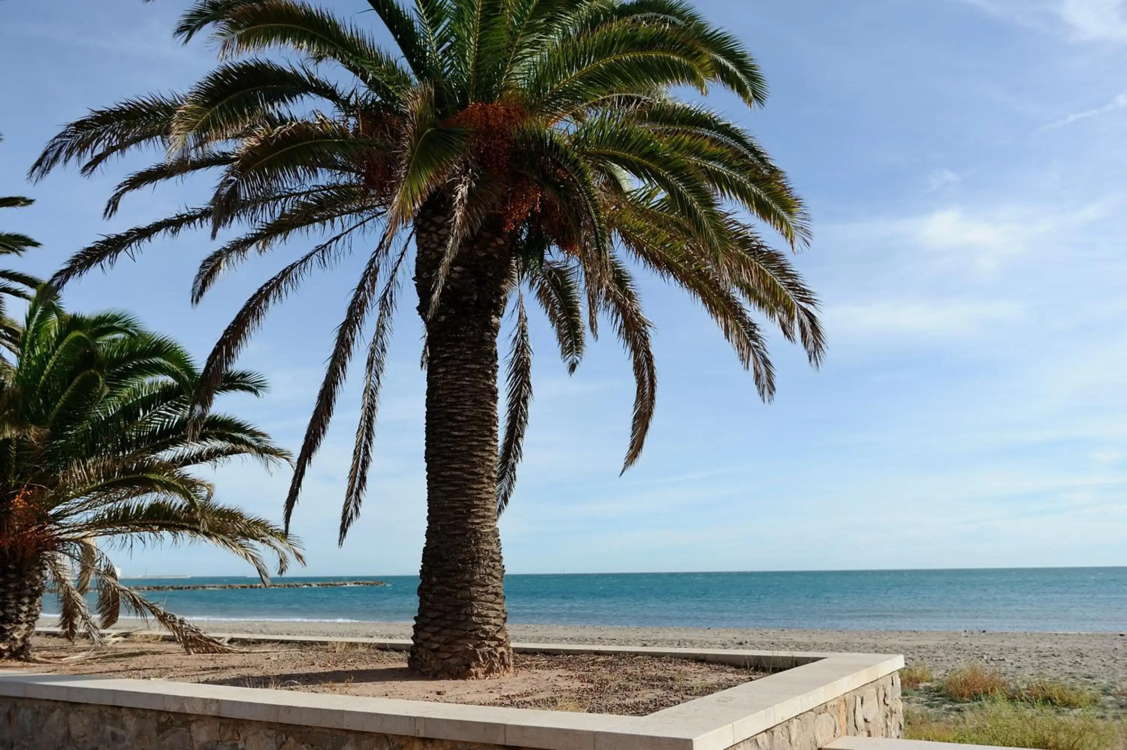 Apartamento Amplio. Vistas A La Playa