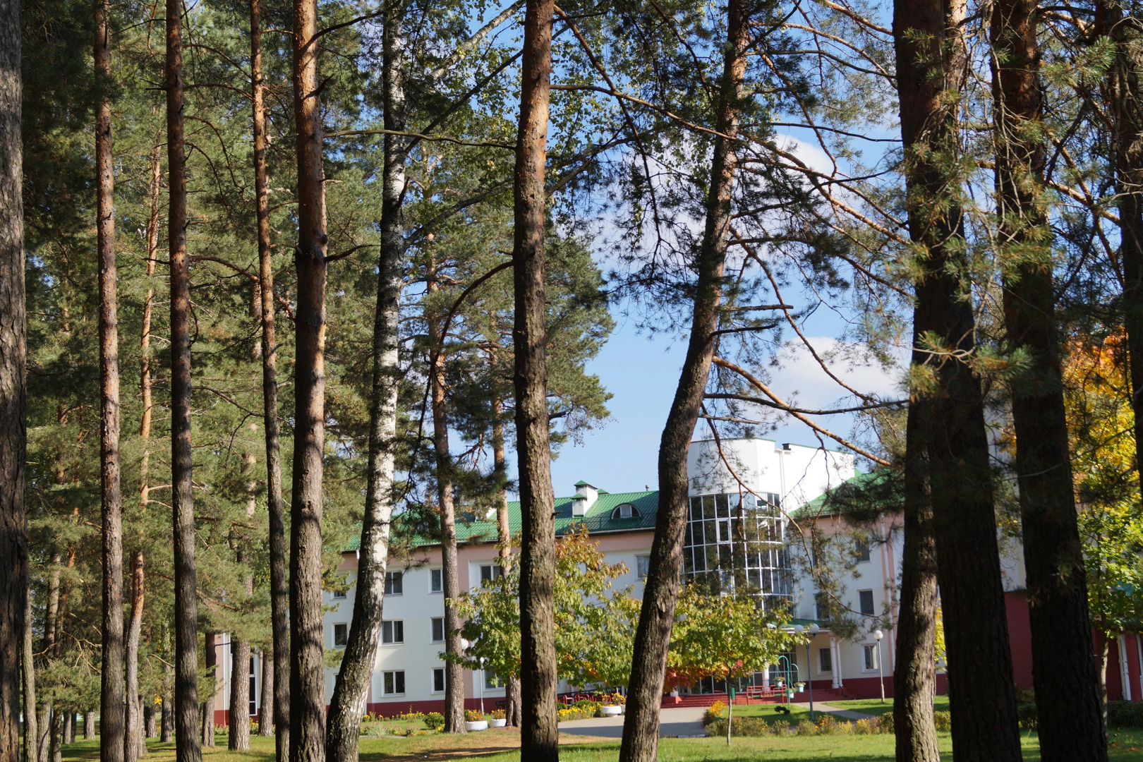 Жемчужина (Витебская)