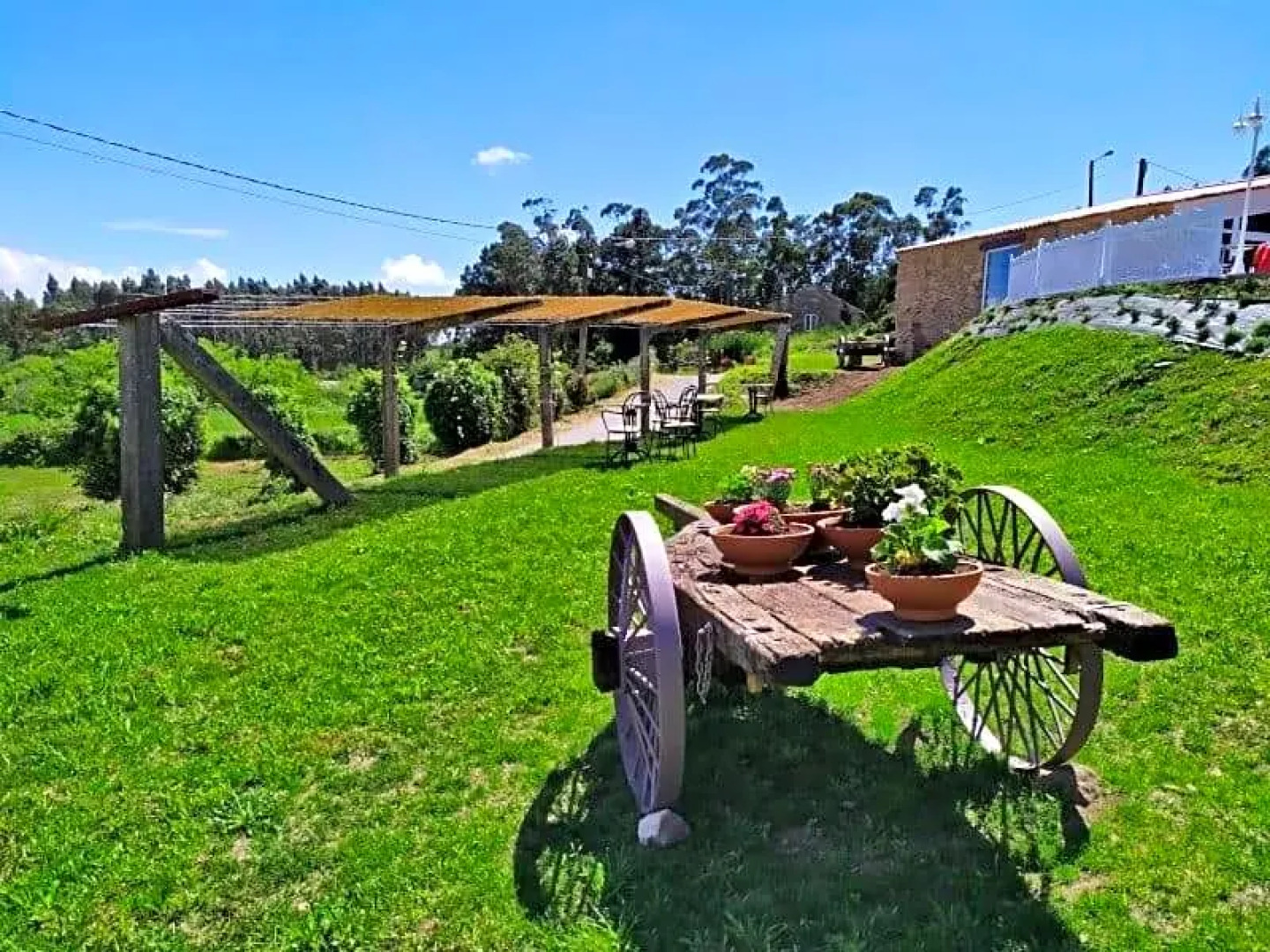 Carballo De Prado 1900