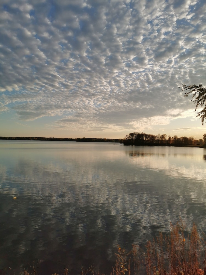 Waterfront Apartment 300742