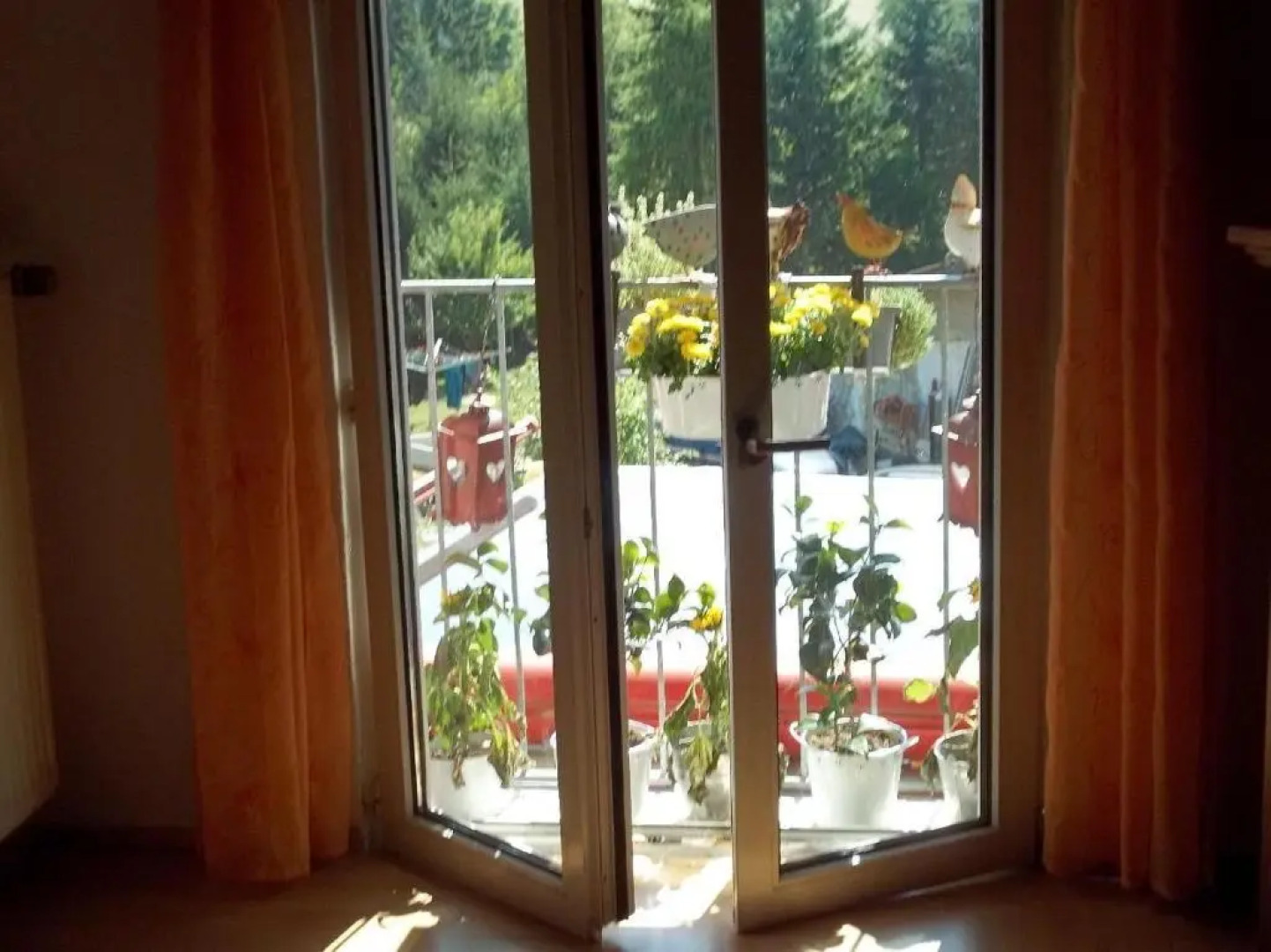 Ferienwohnungen-Willrich-Ferienwohnung-1