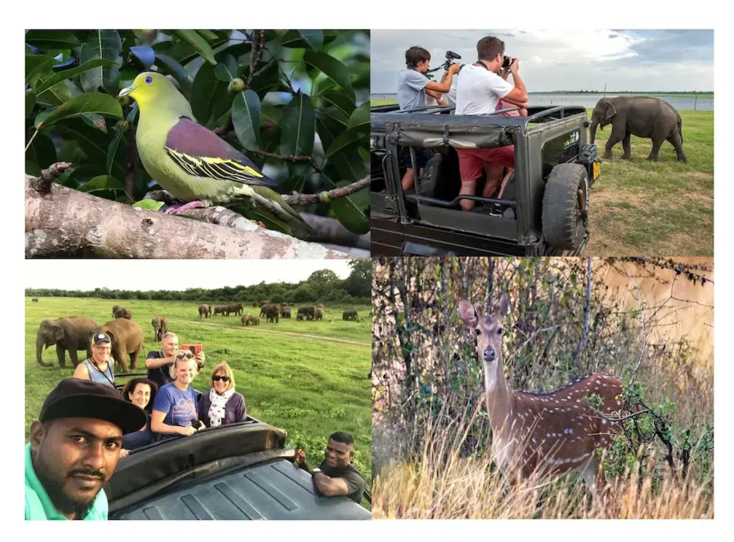 The Senaro Holiday Inn