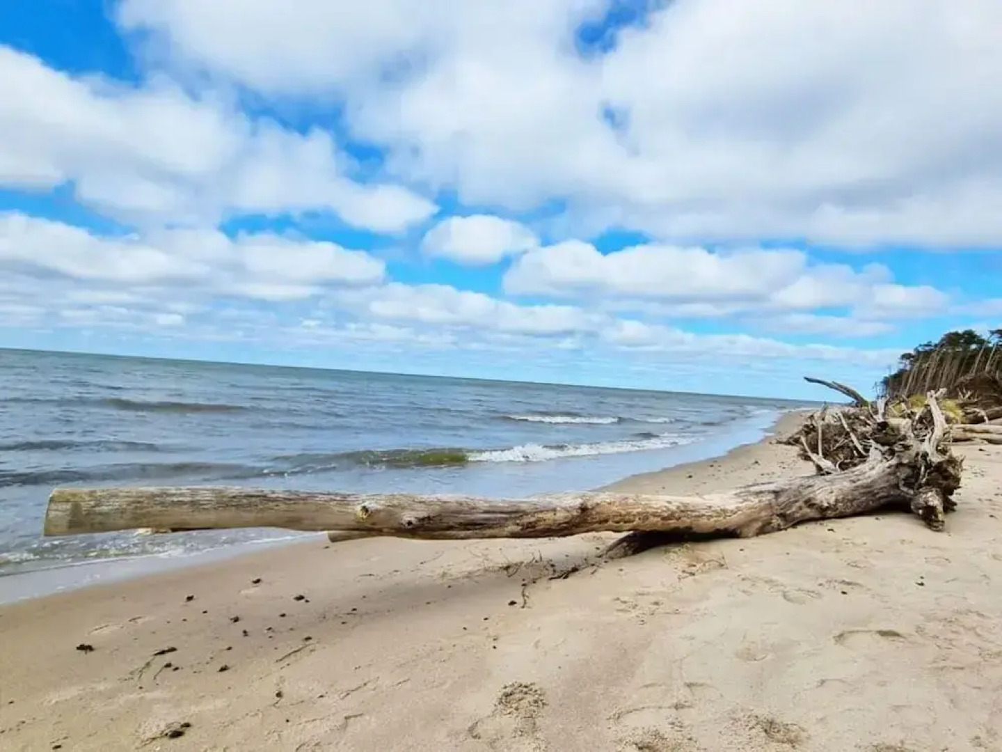 West Beach Modern Retreat