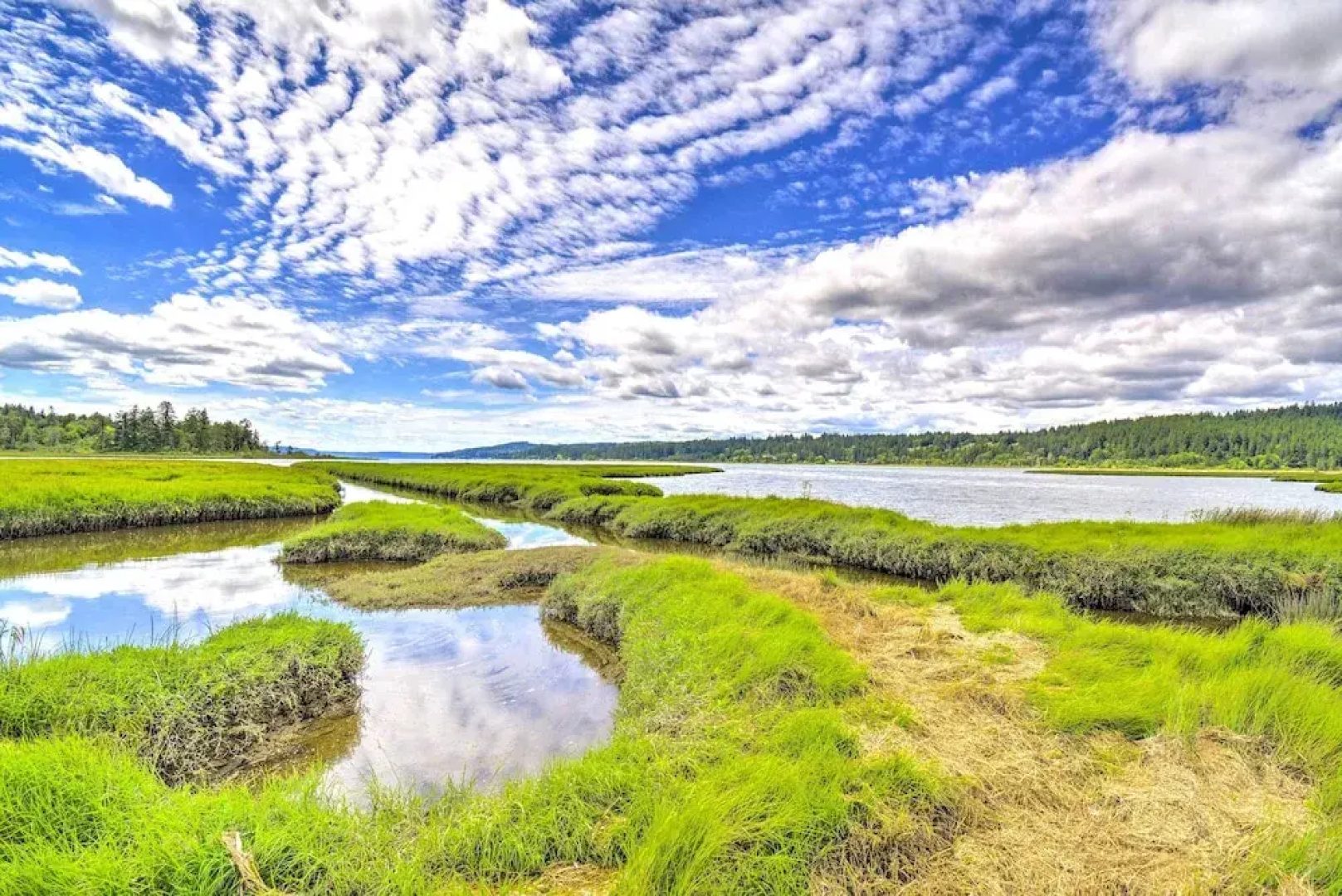Stunning Hood Canal Getaway w/ Private Deck!