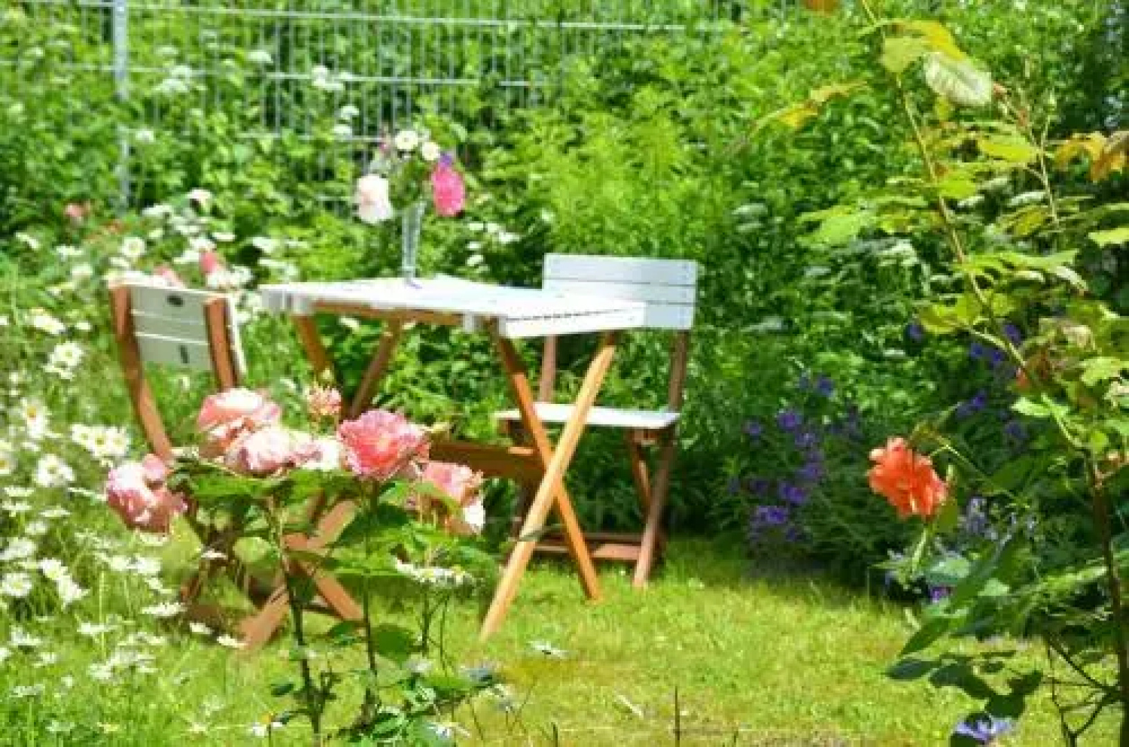 Reisekultouren Apartments Detmold