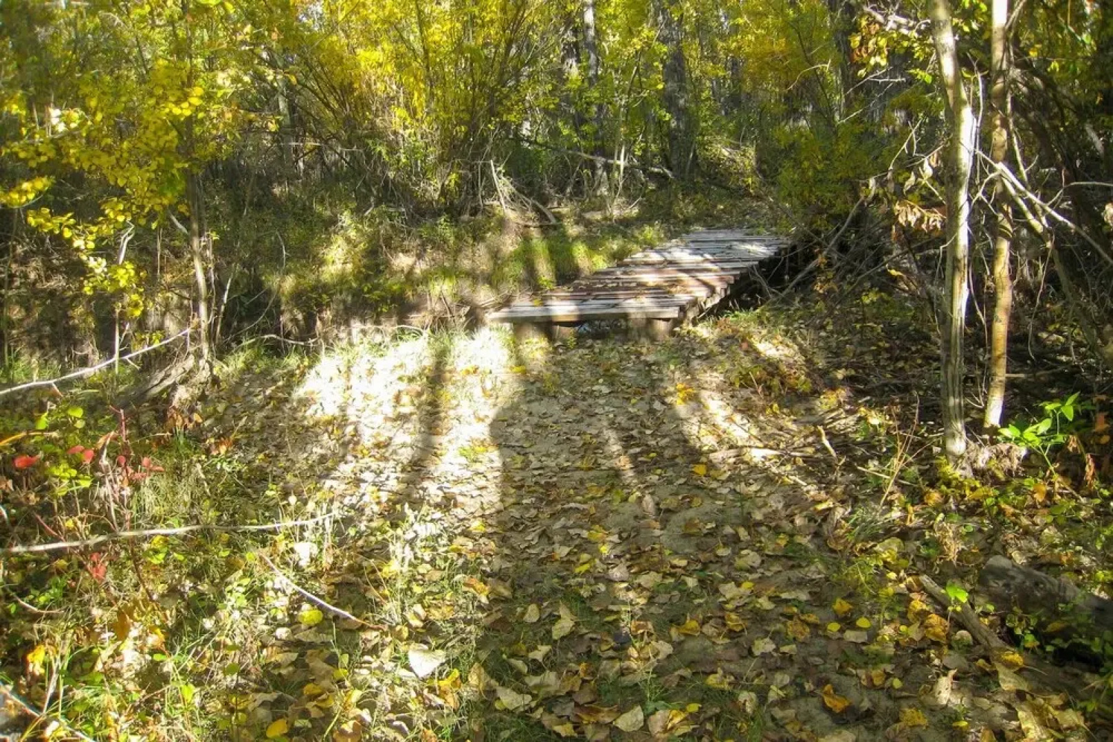 Red Lodge Retreat w/ Creek Access + Fire Pit!