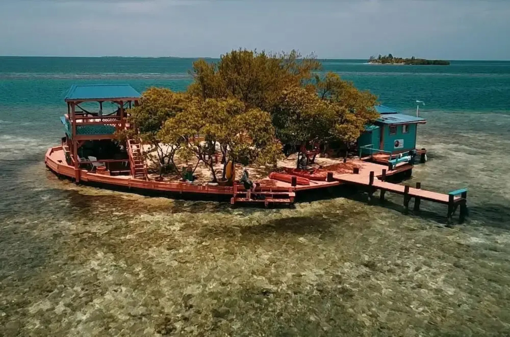 Bird Island Placencia
