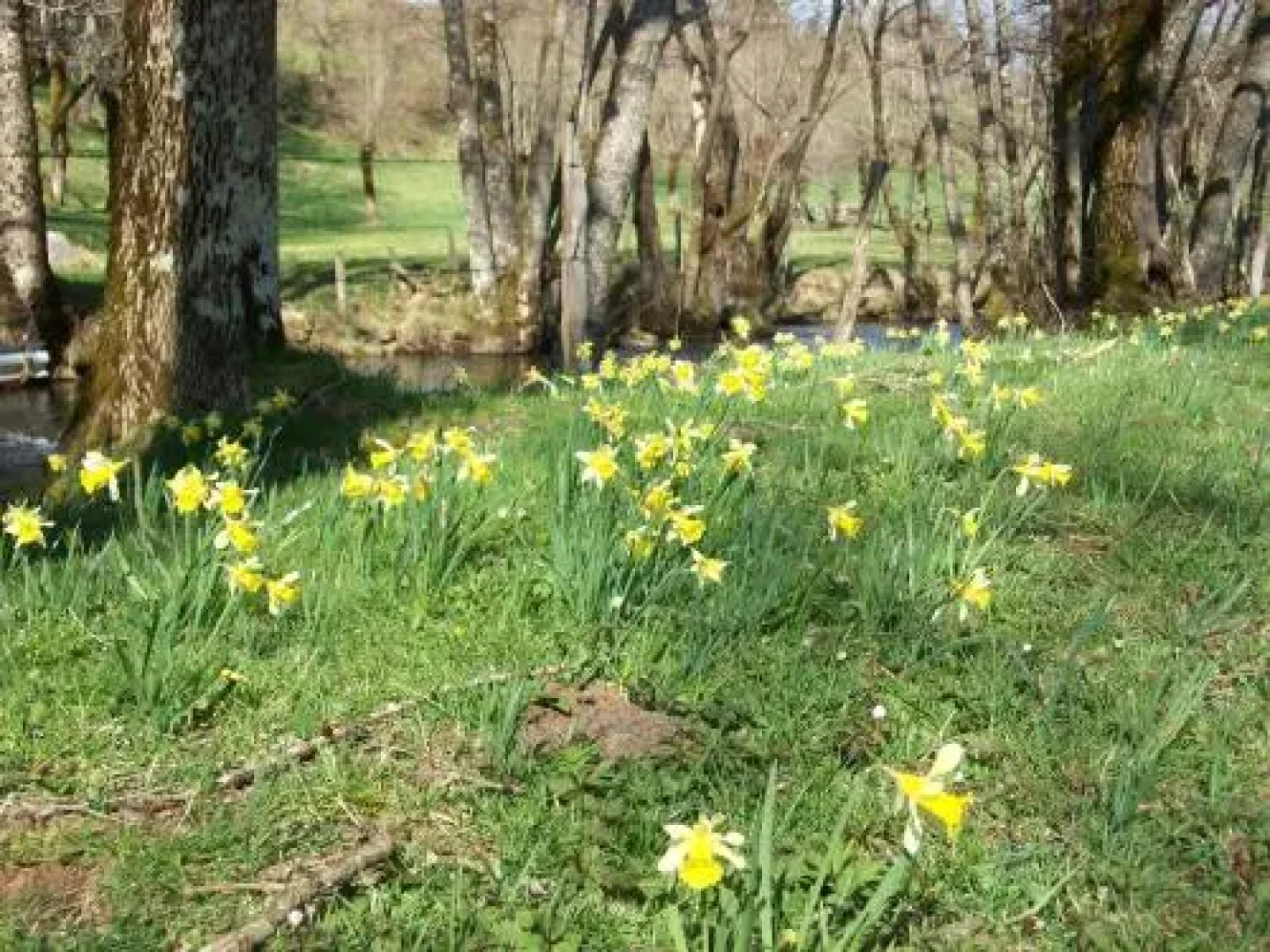 Auberge du Combaïre