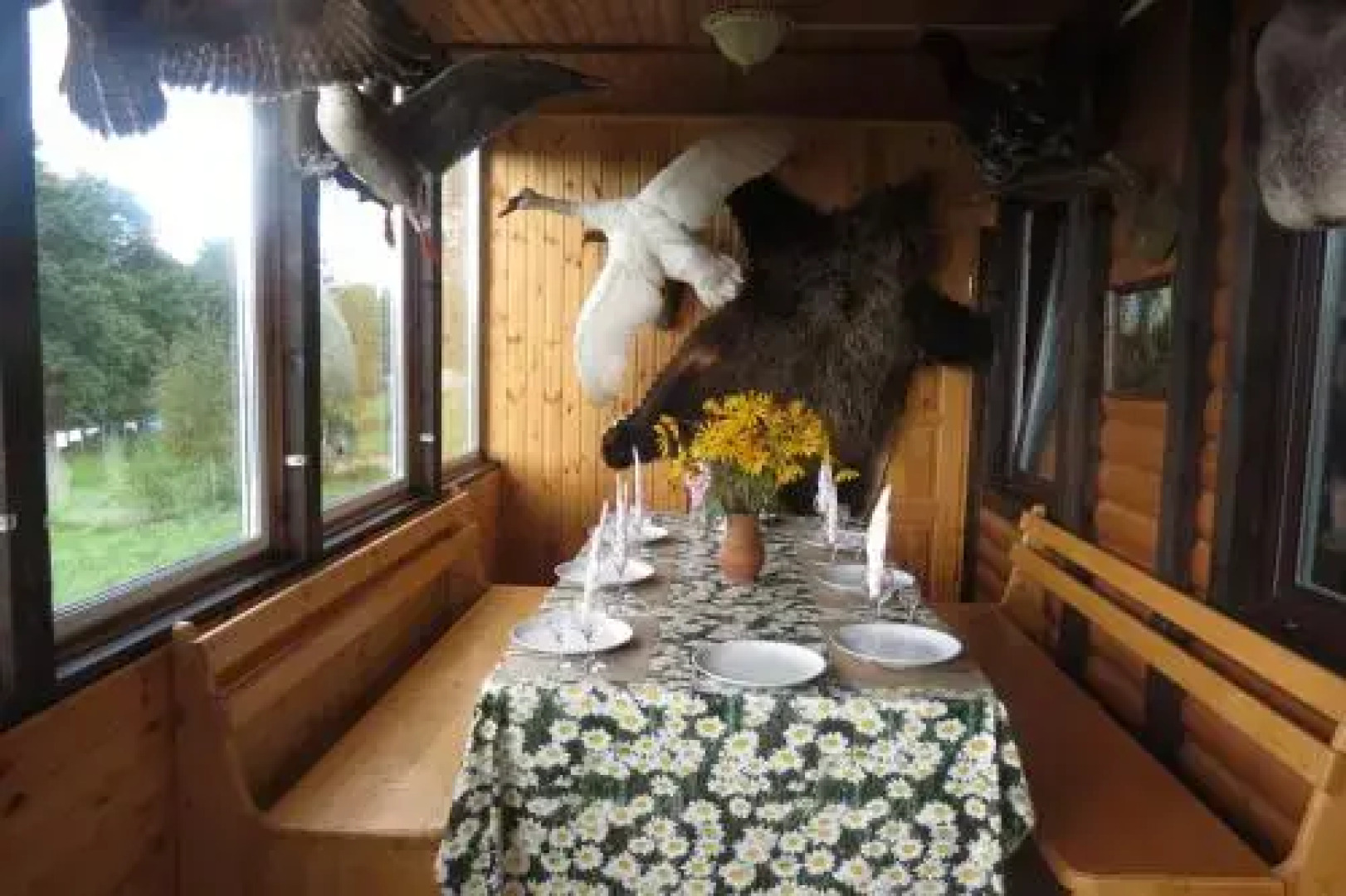 Guest House Bosfor v Rodine