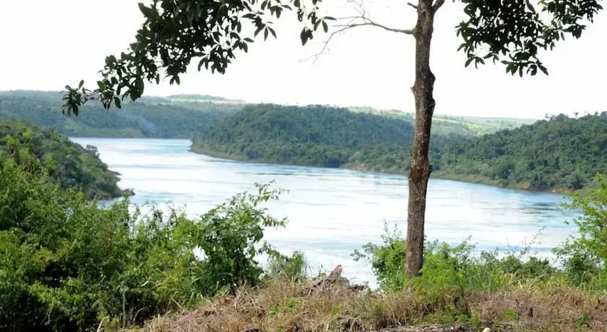 Riberas del Paraná