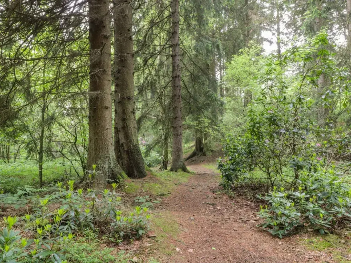 Baillie Close Cottage