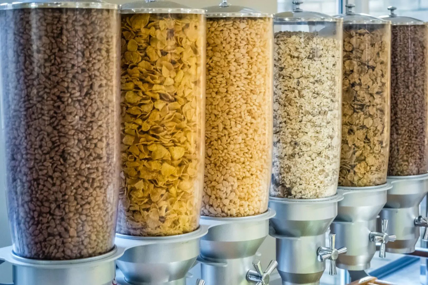 Best Western Plus First Coast Inn & Suites