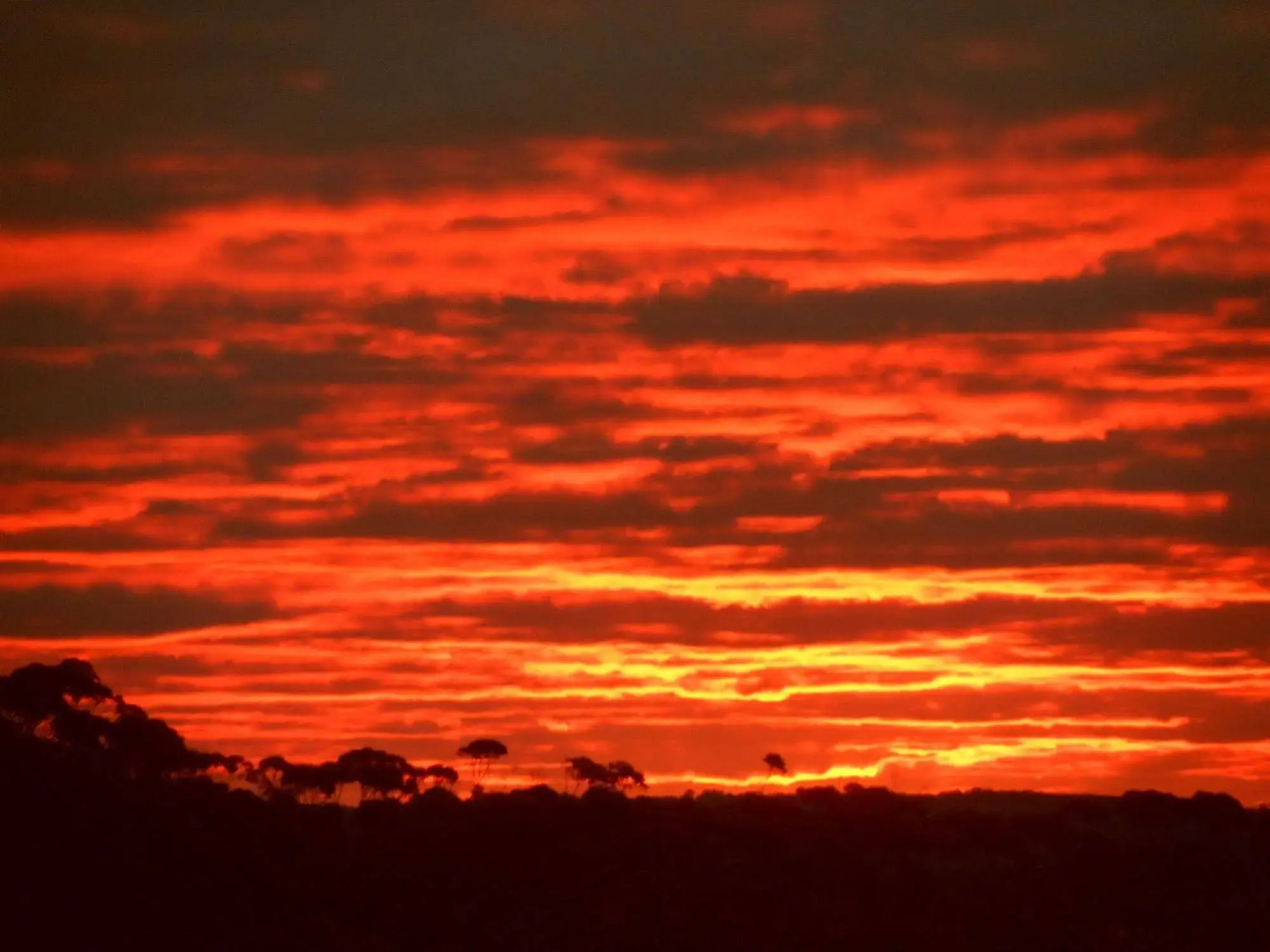 Tennessee Hill Chalets